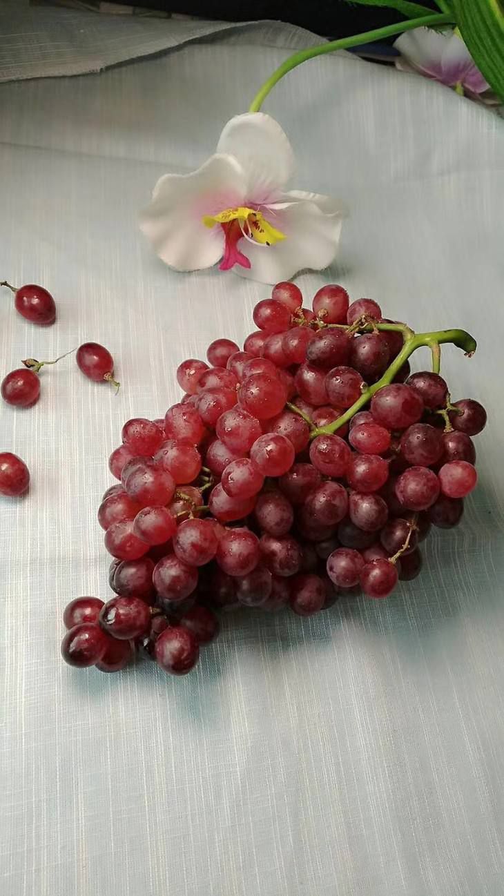 红宝石葡萄 2斤以上 10%以上 1次果