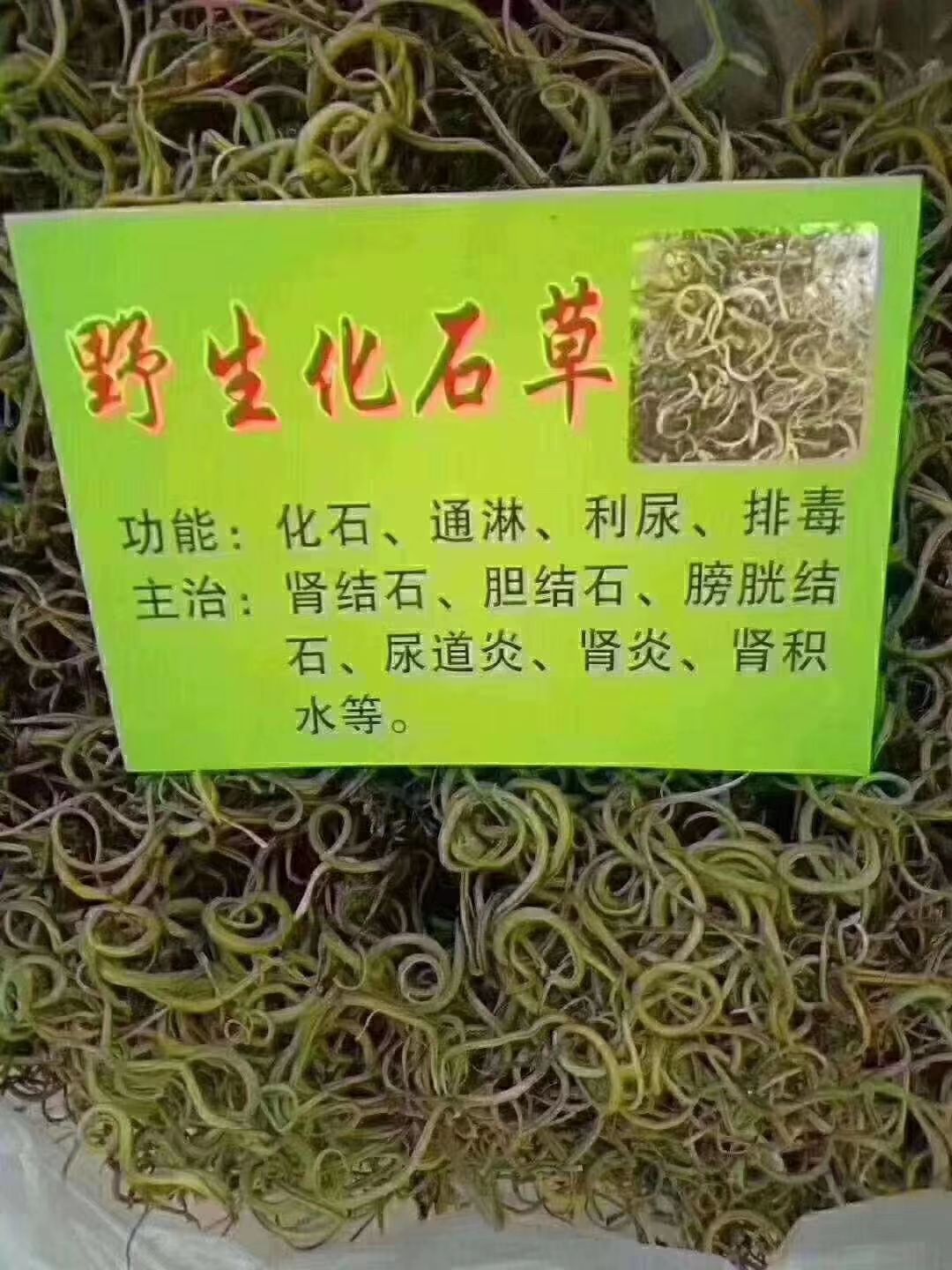 *生化石草