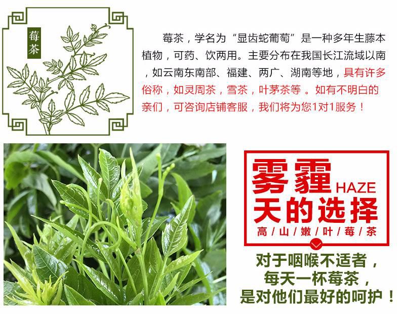 茅岩莓茶 张家界茅岩莓,自产自销,特级芽尖茶