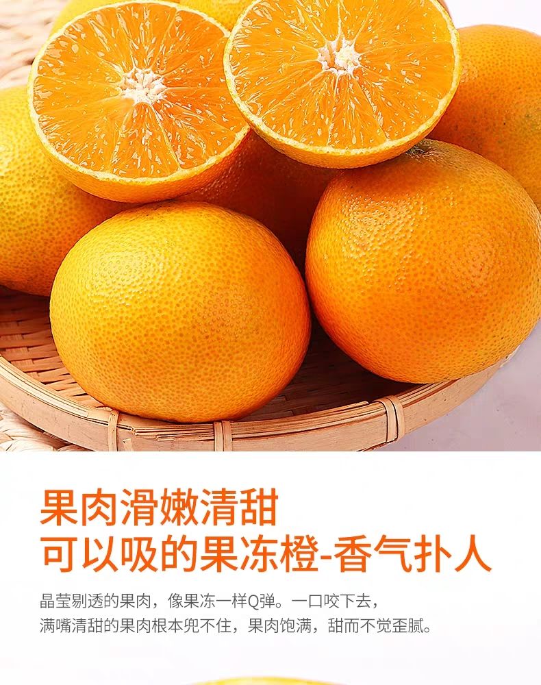 爱媛38号柑桔 爱媛果冻橙