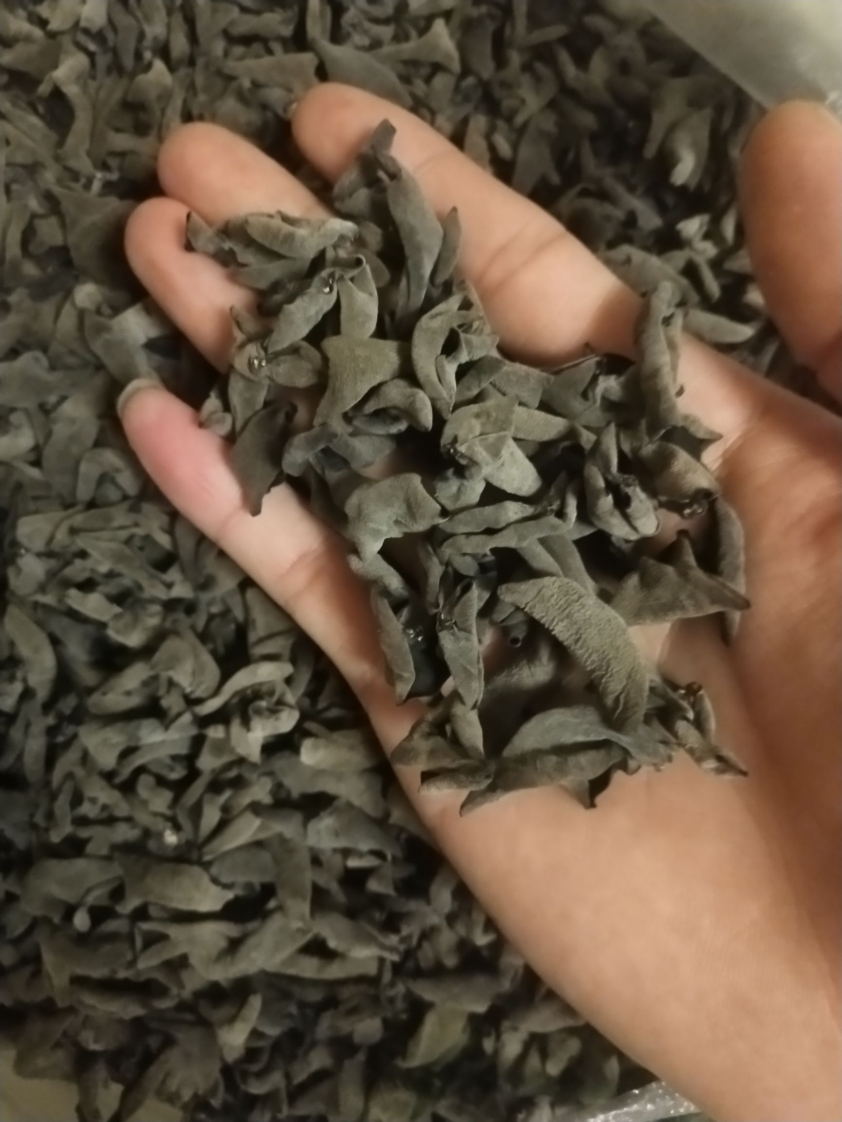 商品属性 品种名:东北黑木耳 货品类别:干木耳 泡发率:1:15 货品等级