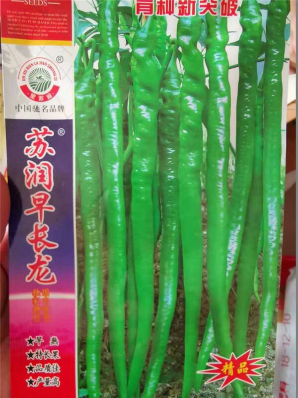 苏润早长龙辣椒种子早熟特长果辣味适中高产抗病基地用种包邮