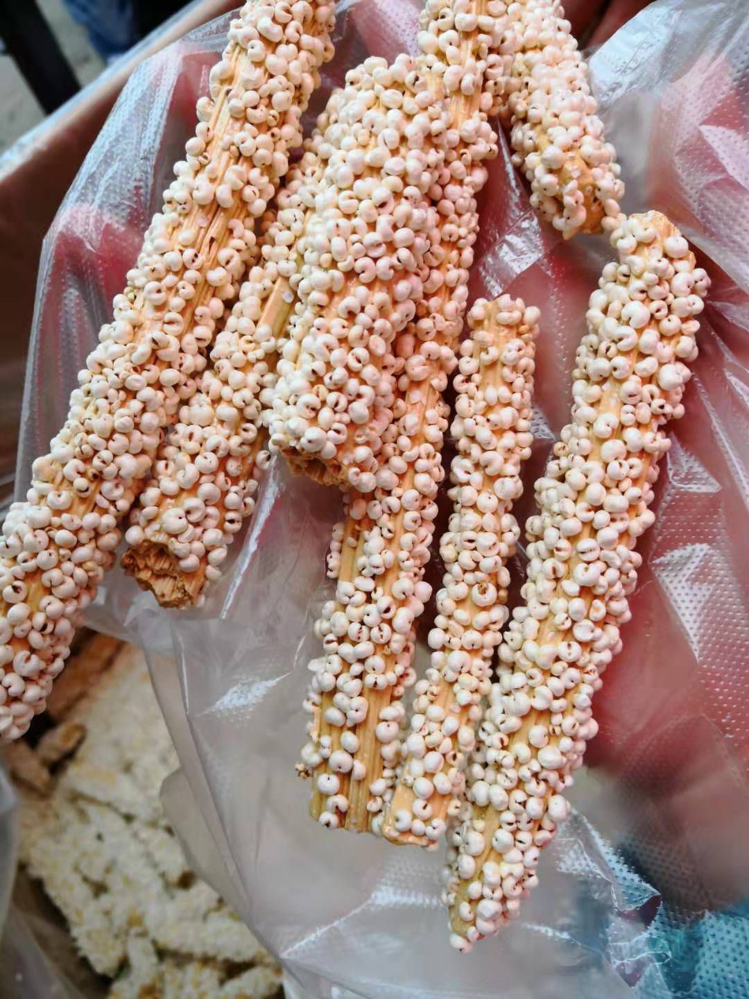 芝麻糖 正宗河南土麻糖