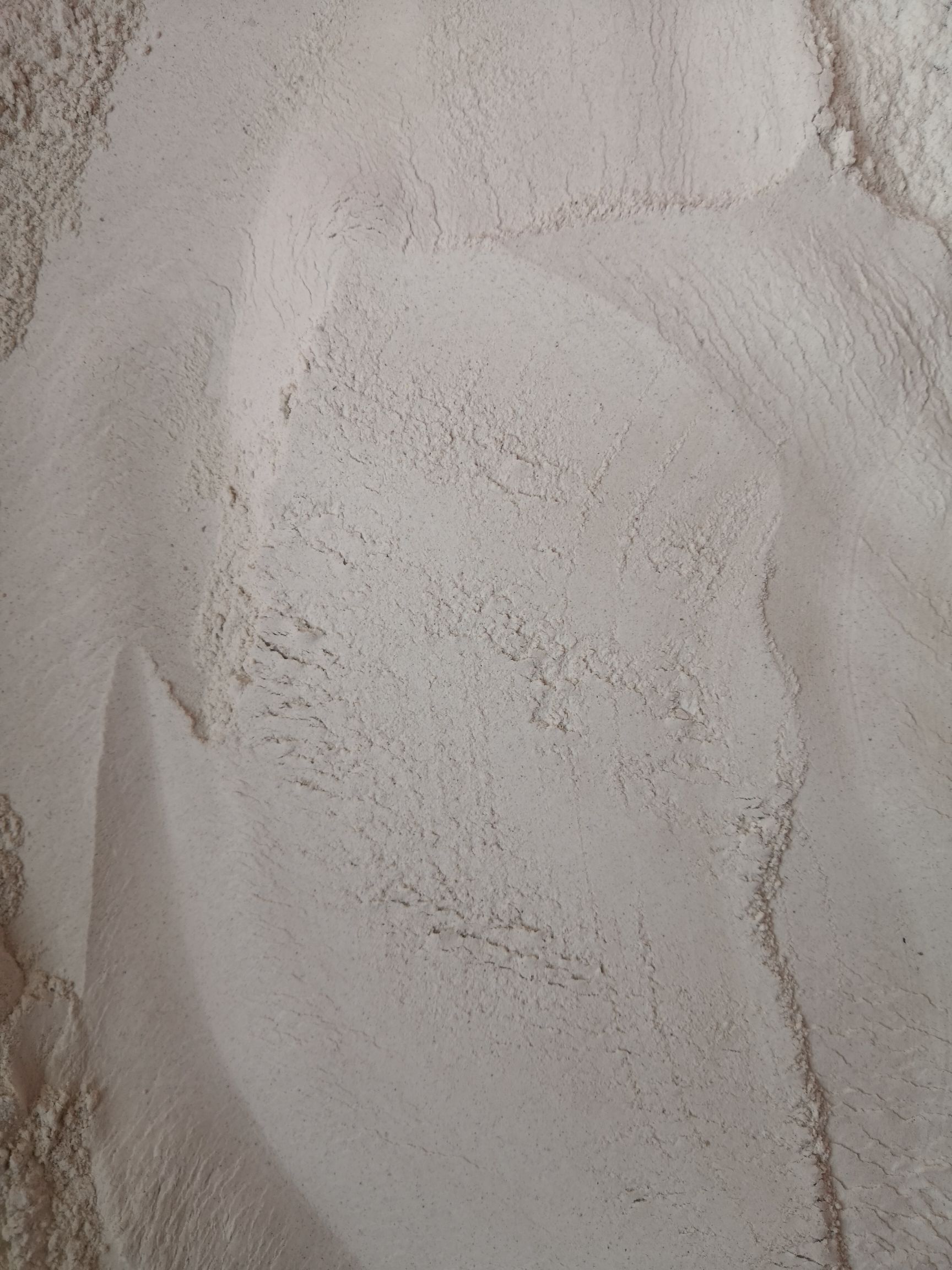 正宗上等纯无硫白芍粉白芍各种中药粉需要哪种直接说