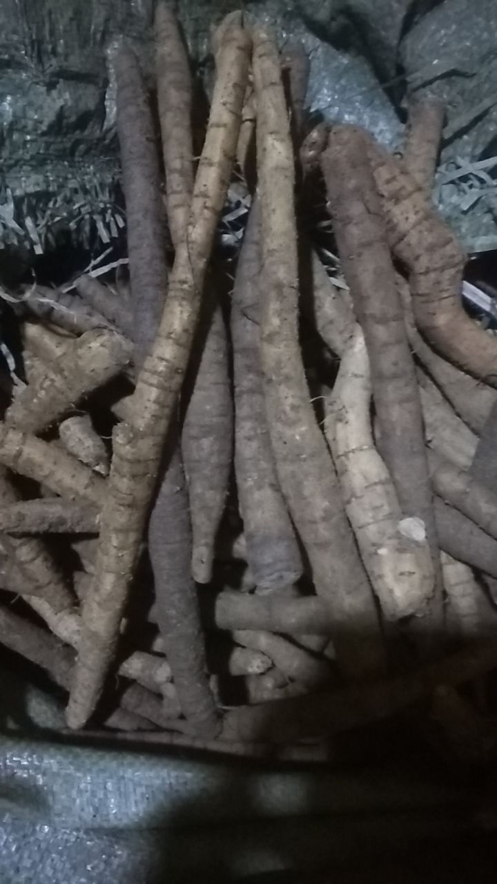 供应大厅  中药材  牛大力   商品详情 牛大力,别名猪脚笠,金钟根,山