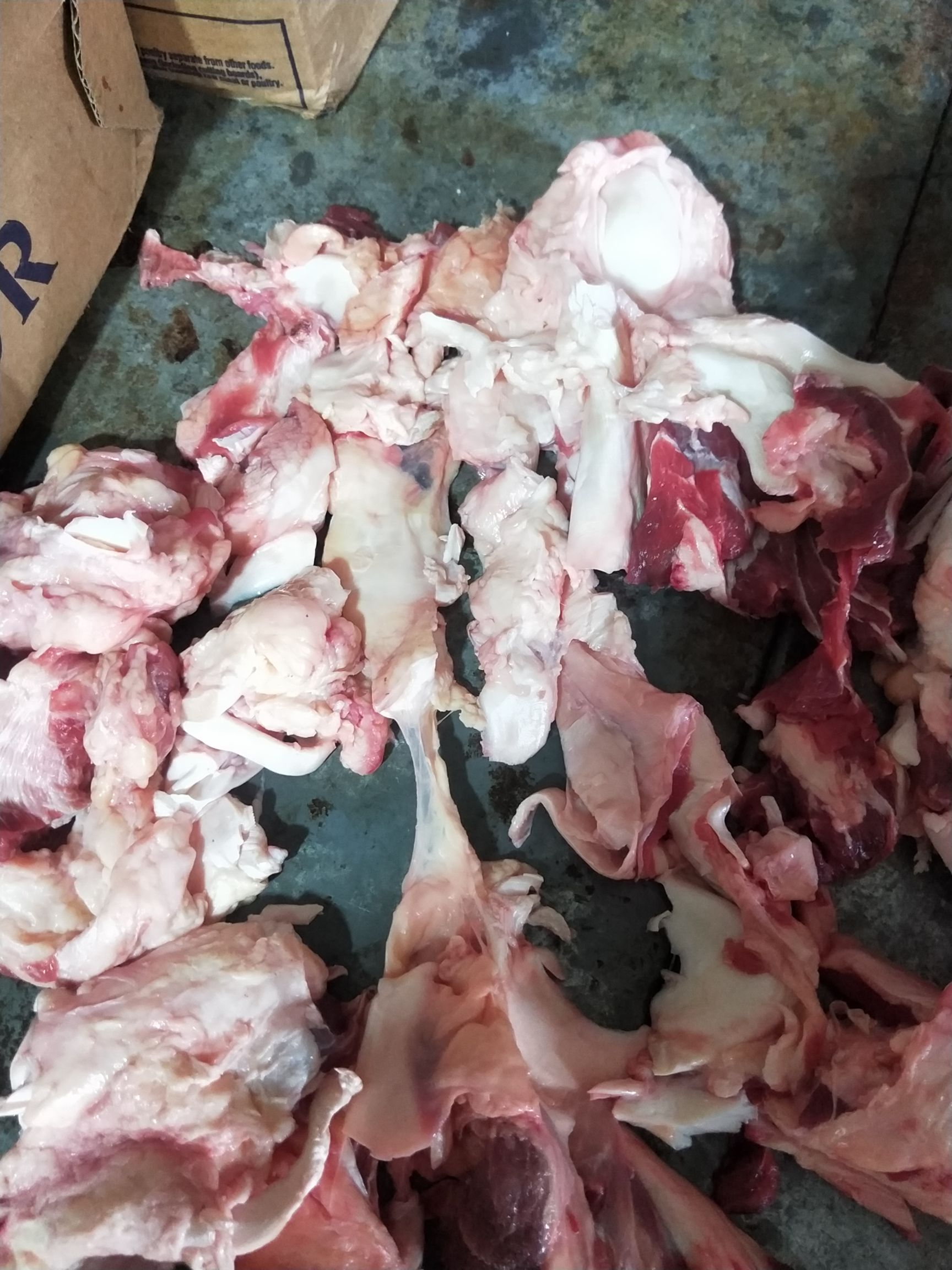 [牛筋批发] 纯干 牛筋 牛筋膜 牛筋肉 筋膜肉价格16元/斤 - 惠农网