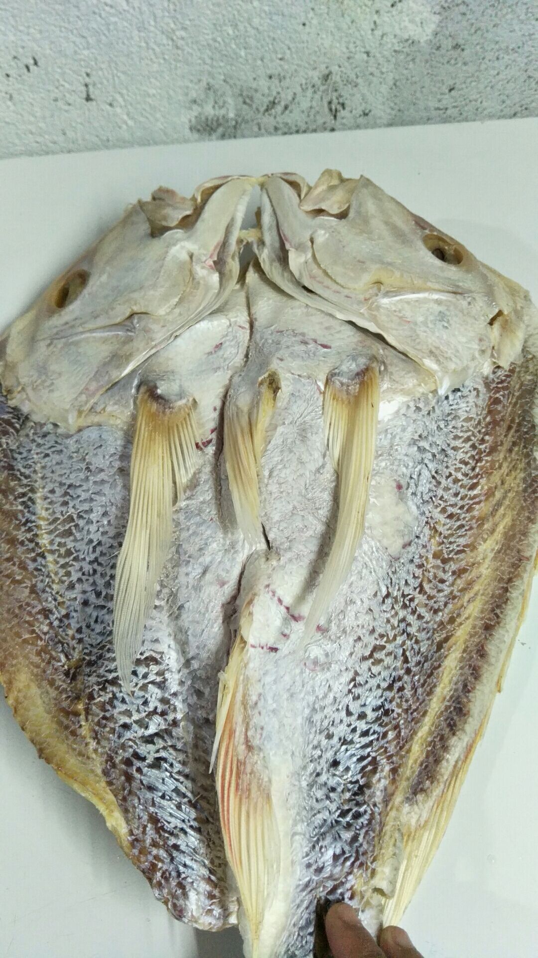 红鱼干