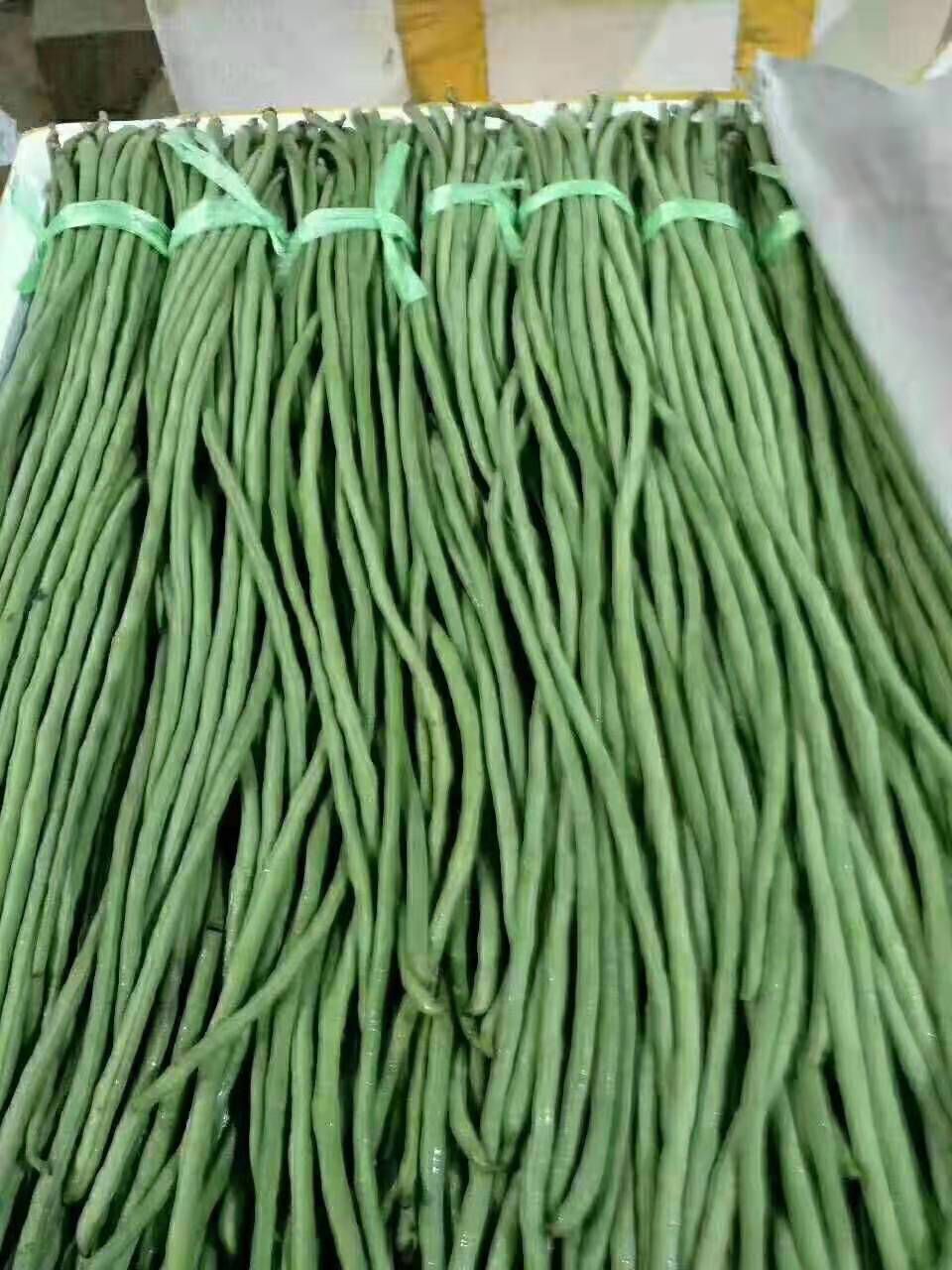 长豇豆 豇豆大量预定