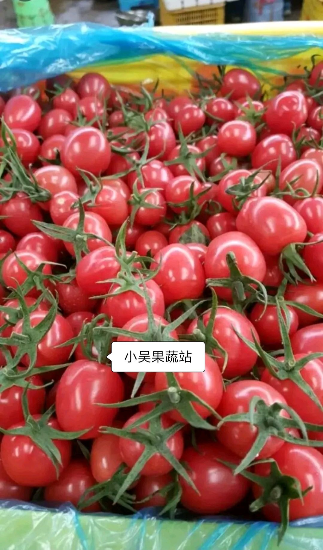 供应大厅  水果 圣女果