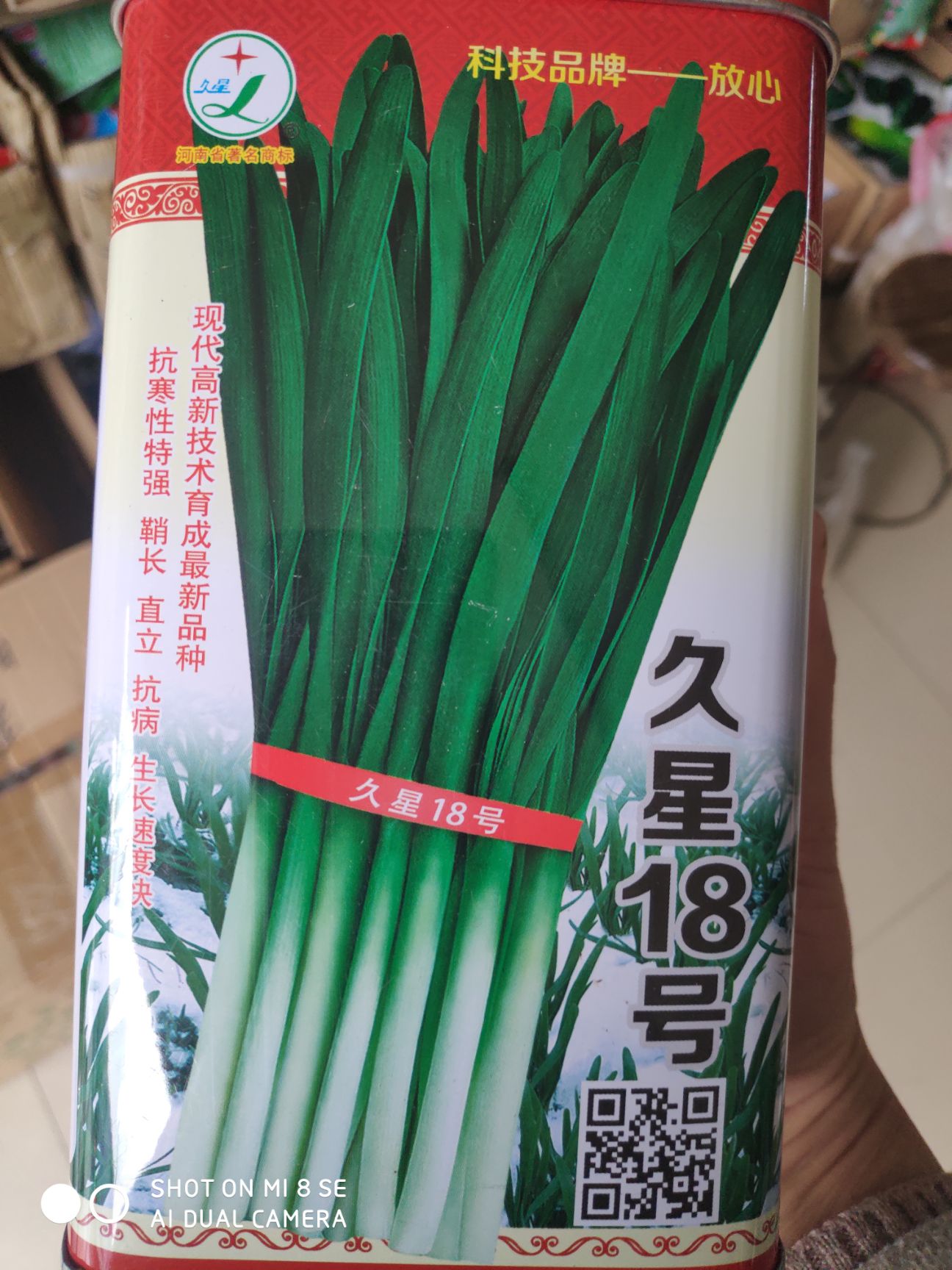 韭菜种子 久星18号抗寒性特强抗病优质生长速度快生长势强产量