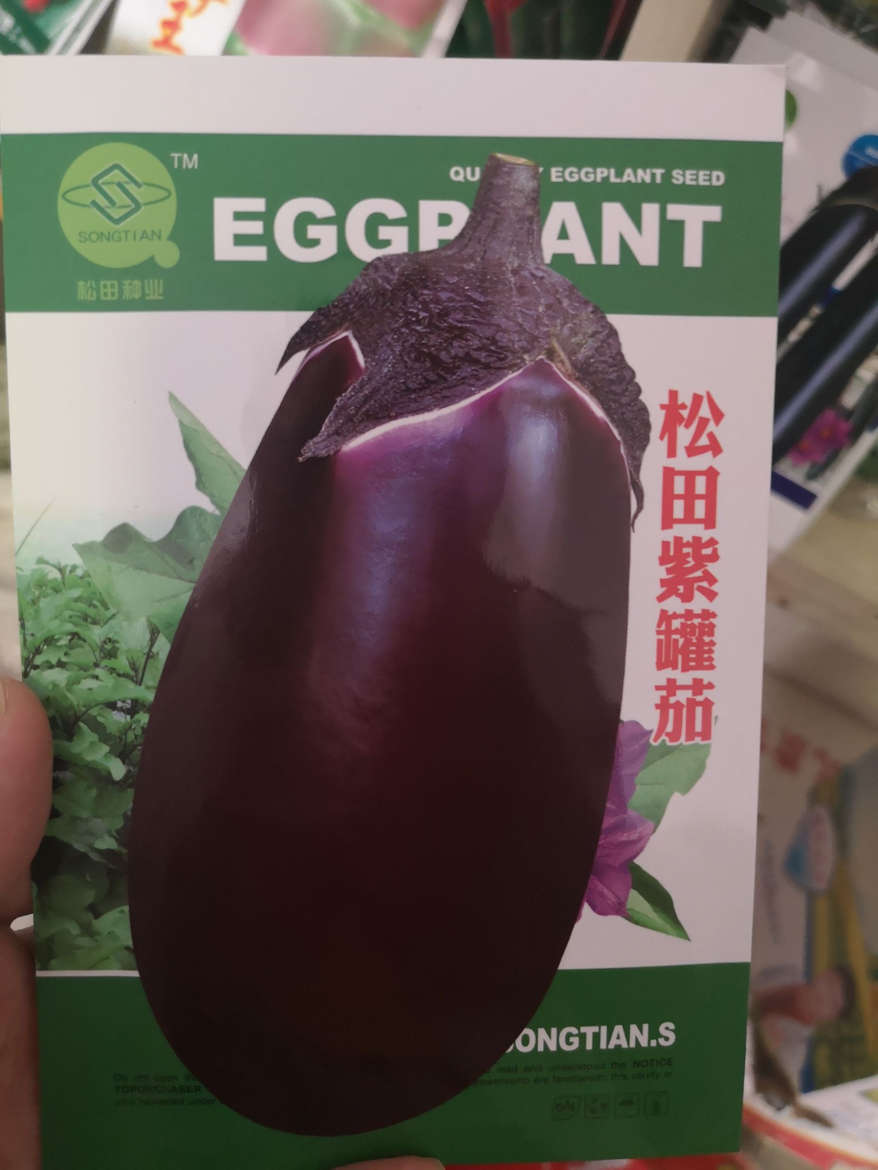 法国绿茄种子 绿色茄子种子 由法国引进 品质优 抗性好