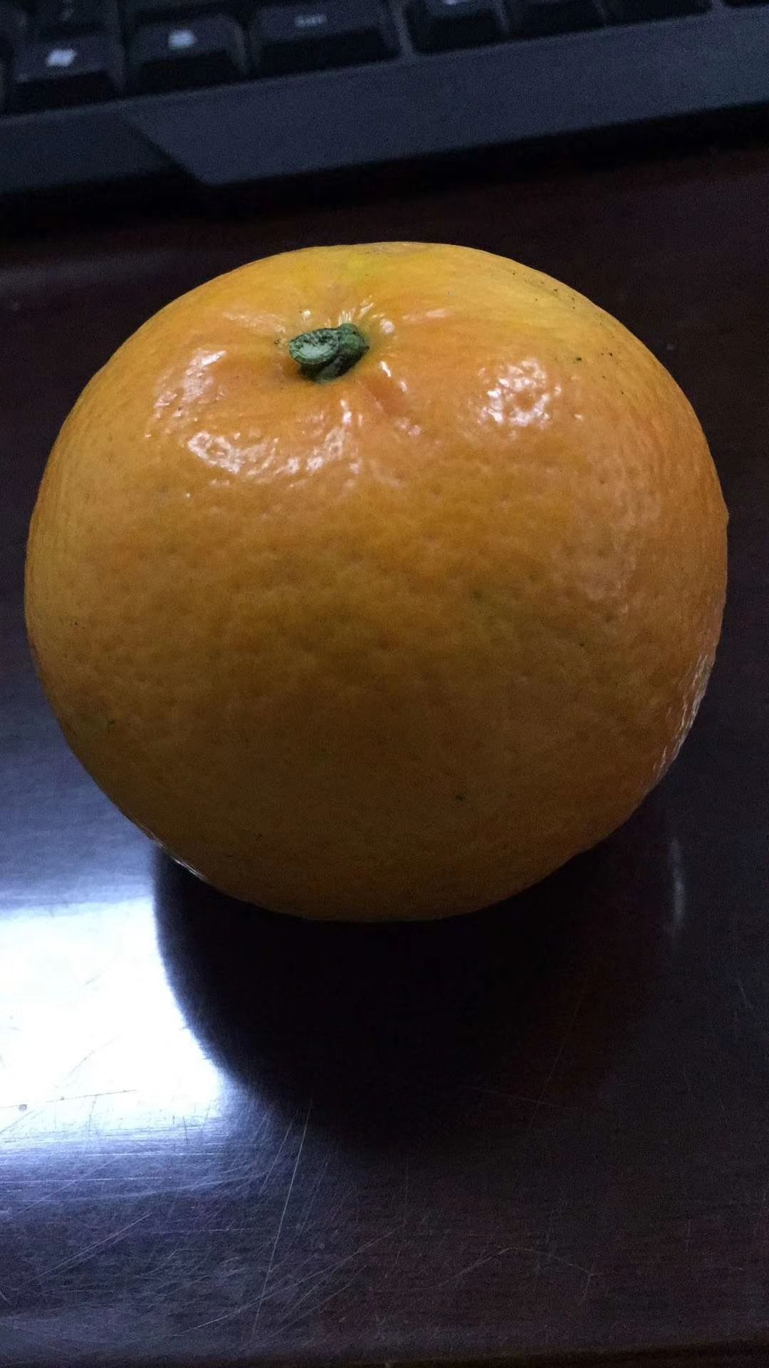 皇帝柑 皮薄汁多,鲜甜爽口,有机水果哦