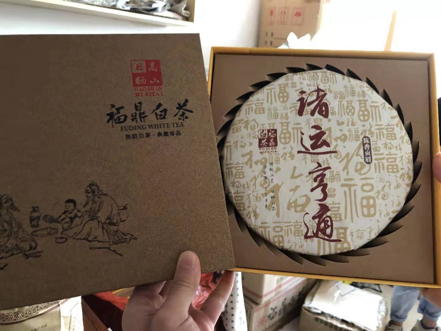 福鼎白茶