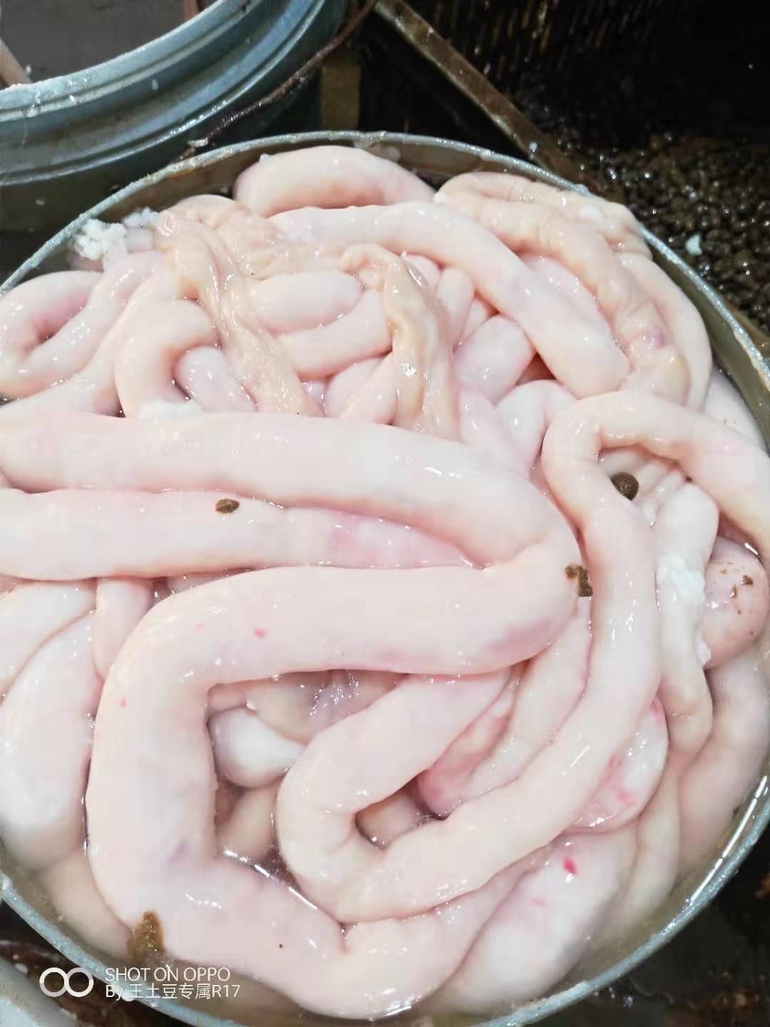 羊肠