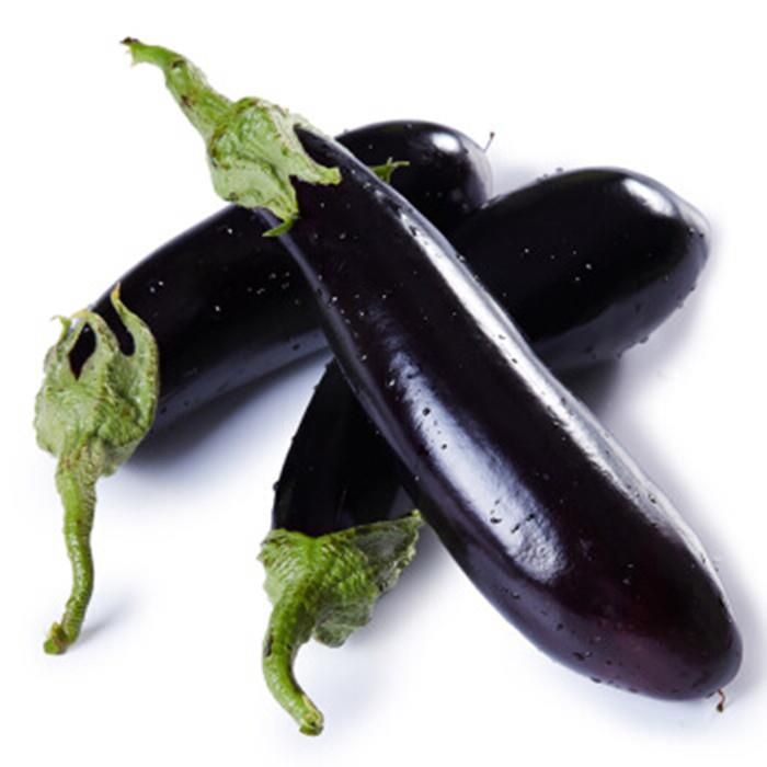 【善茄黑烧烤】一代杂交茄子种子紫黑油亮光泽长茄子烧烤茄子专用