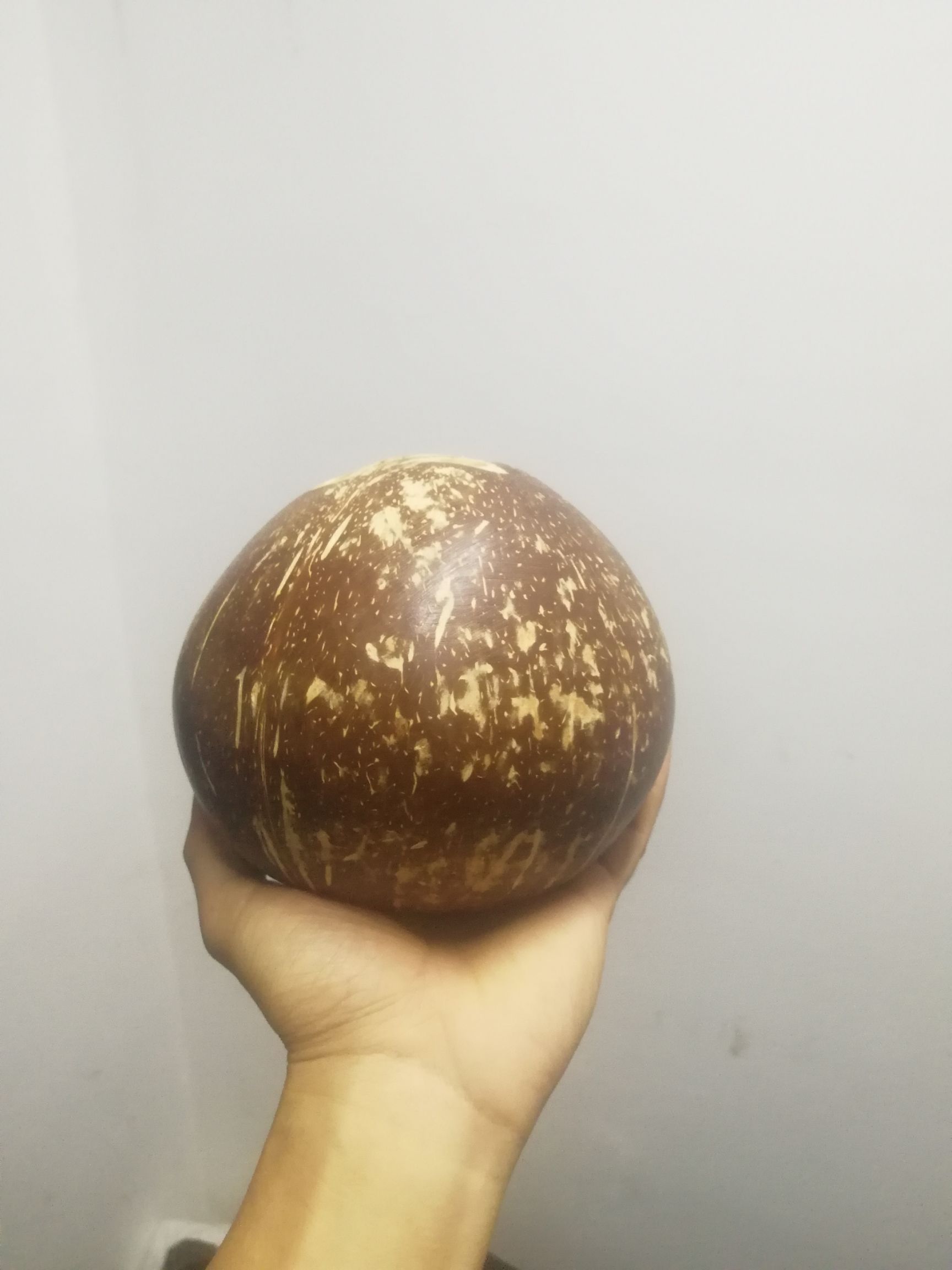 海南椰皇