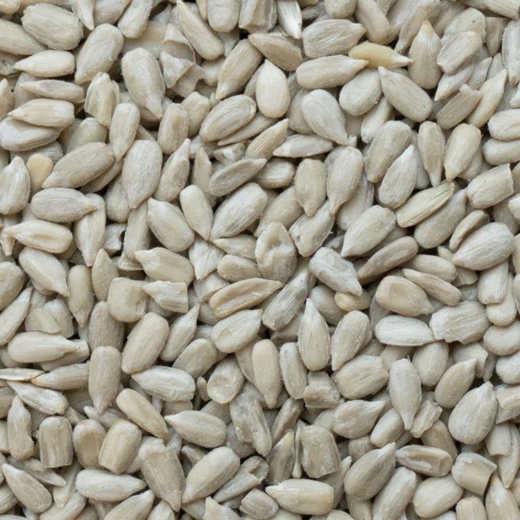 2019年新货 瓜子仁 生油葵仁 葵花籽仁 榨油烘焙原料食品