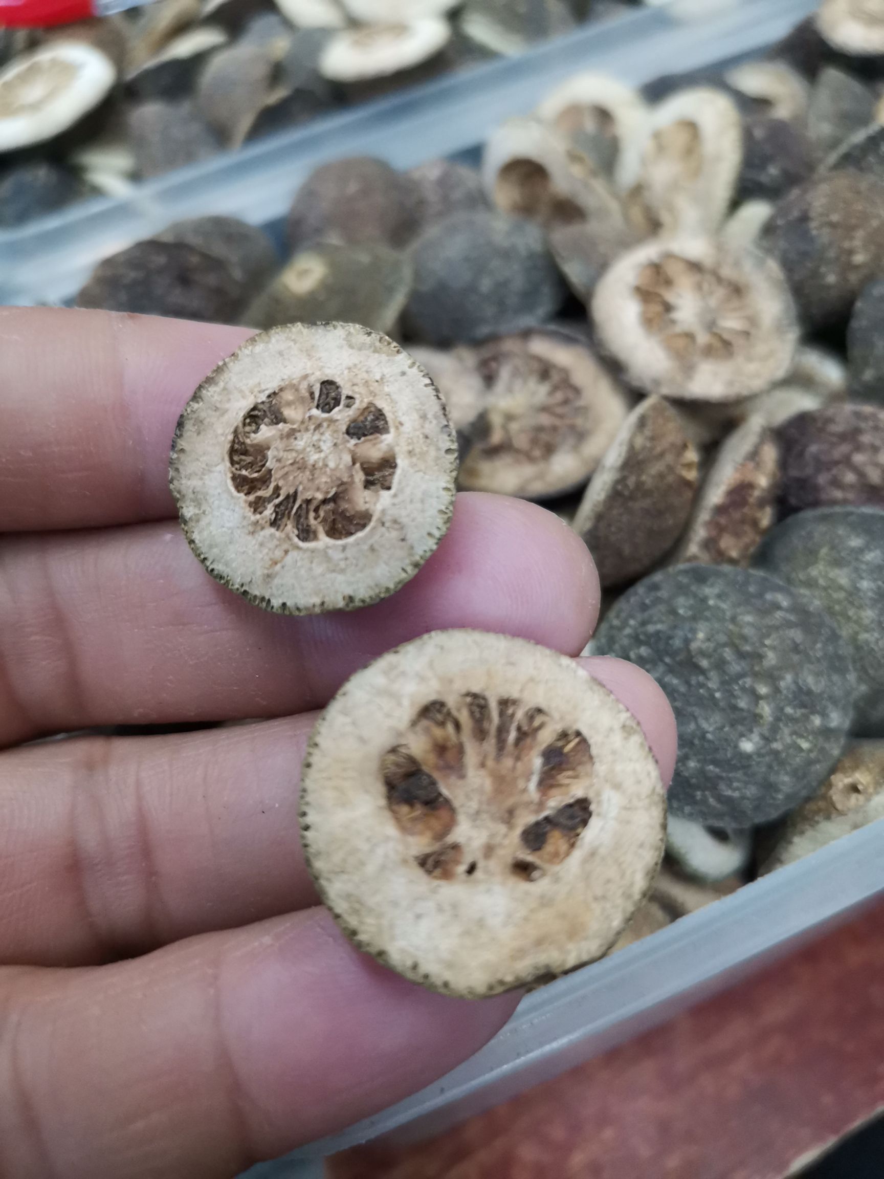 枳壳,枳实,青皮,包含量