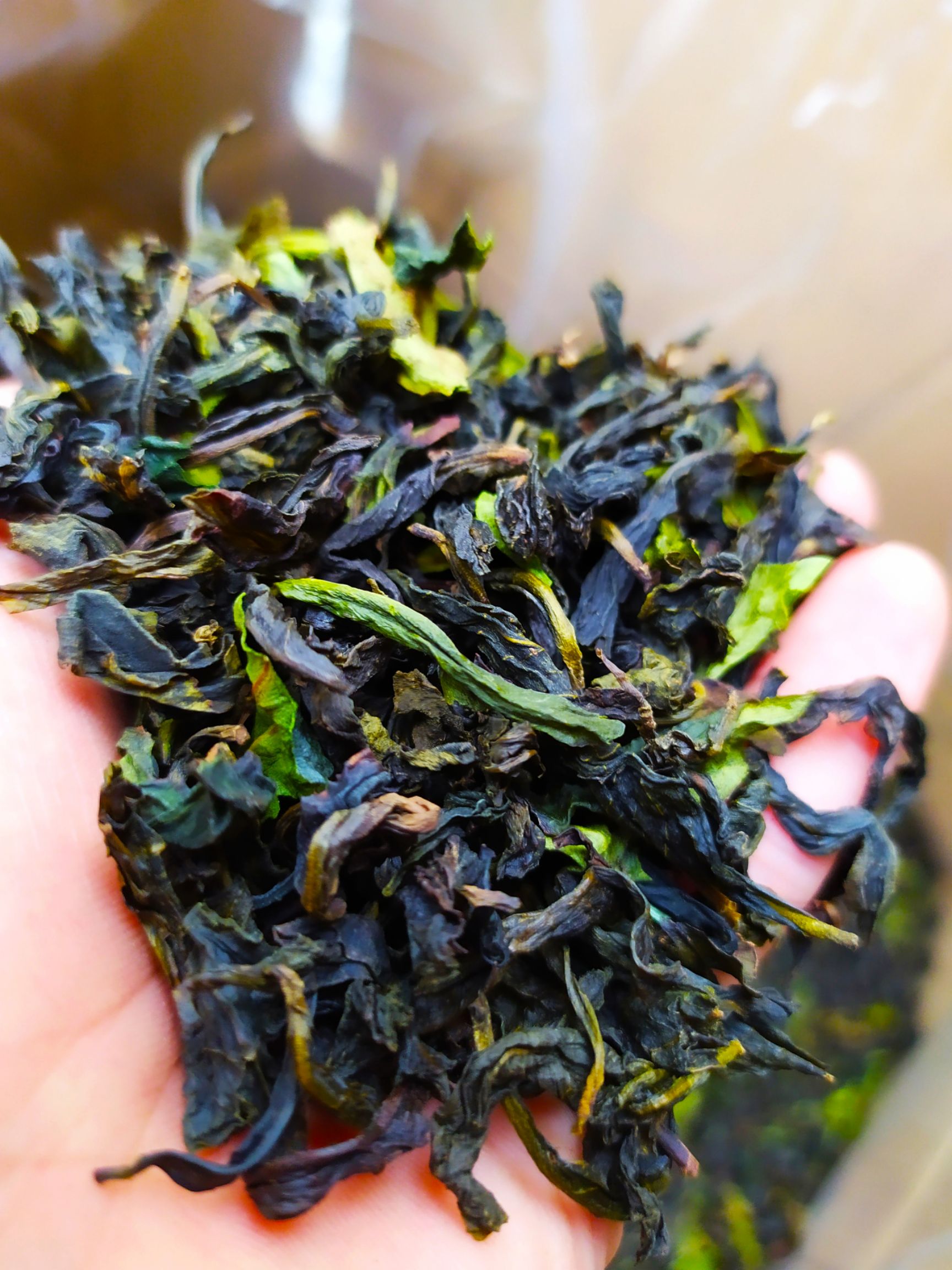 土山茶炭焙原味八仙茶潮汕惠来高山茶八仙王土山茶浓香茶1袋1斤