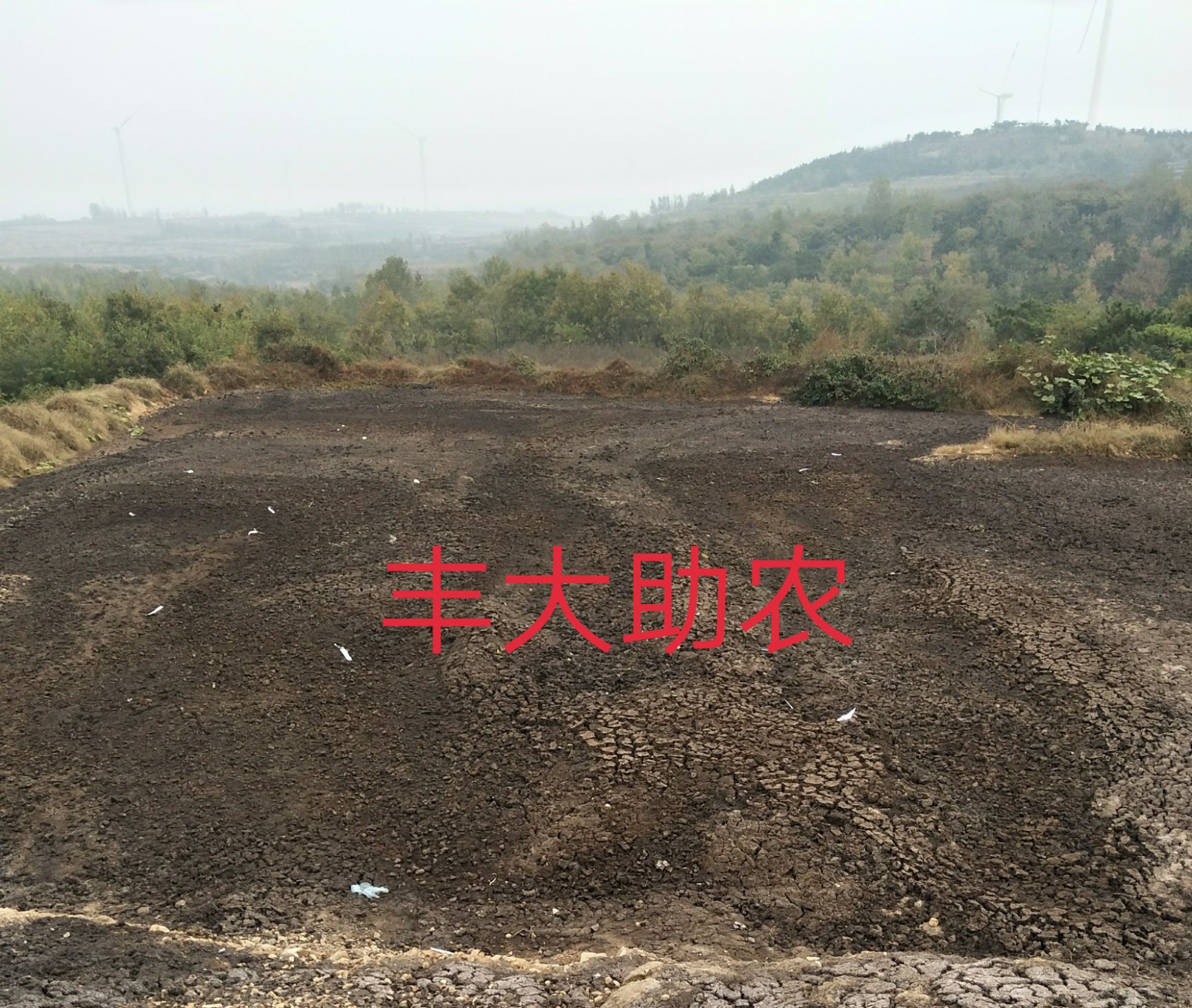 批发鲜鸡粪70一方