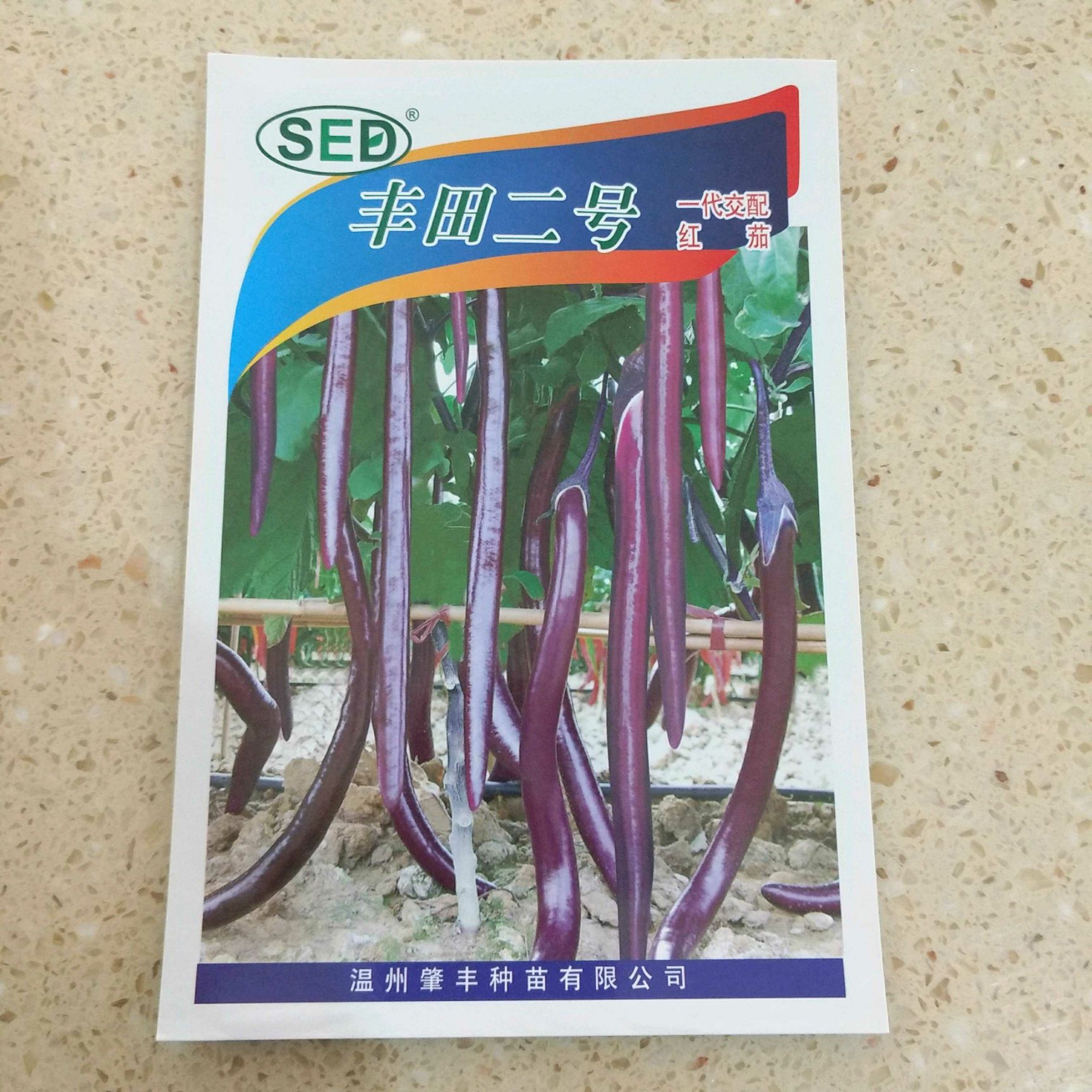 丰田二号茄子种子