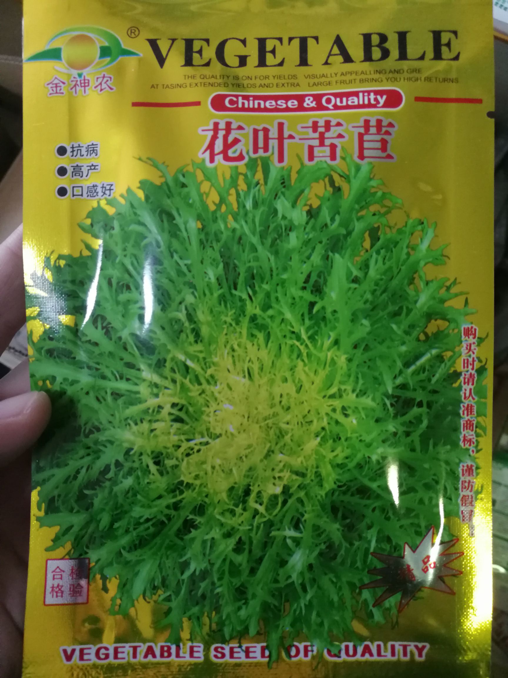 苦菊种子大叶苦菊高质量产品 10.0 元/袋