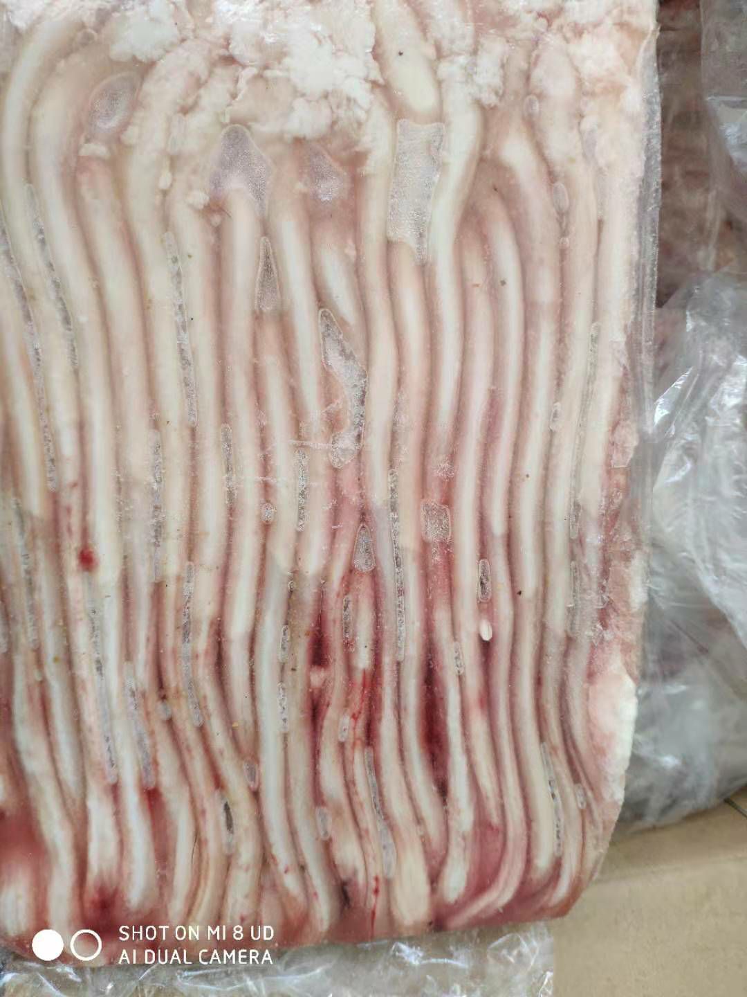 猪鞭