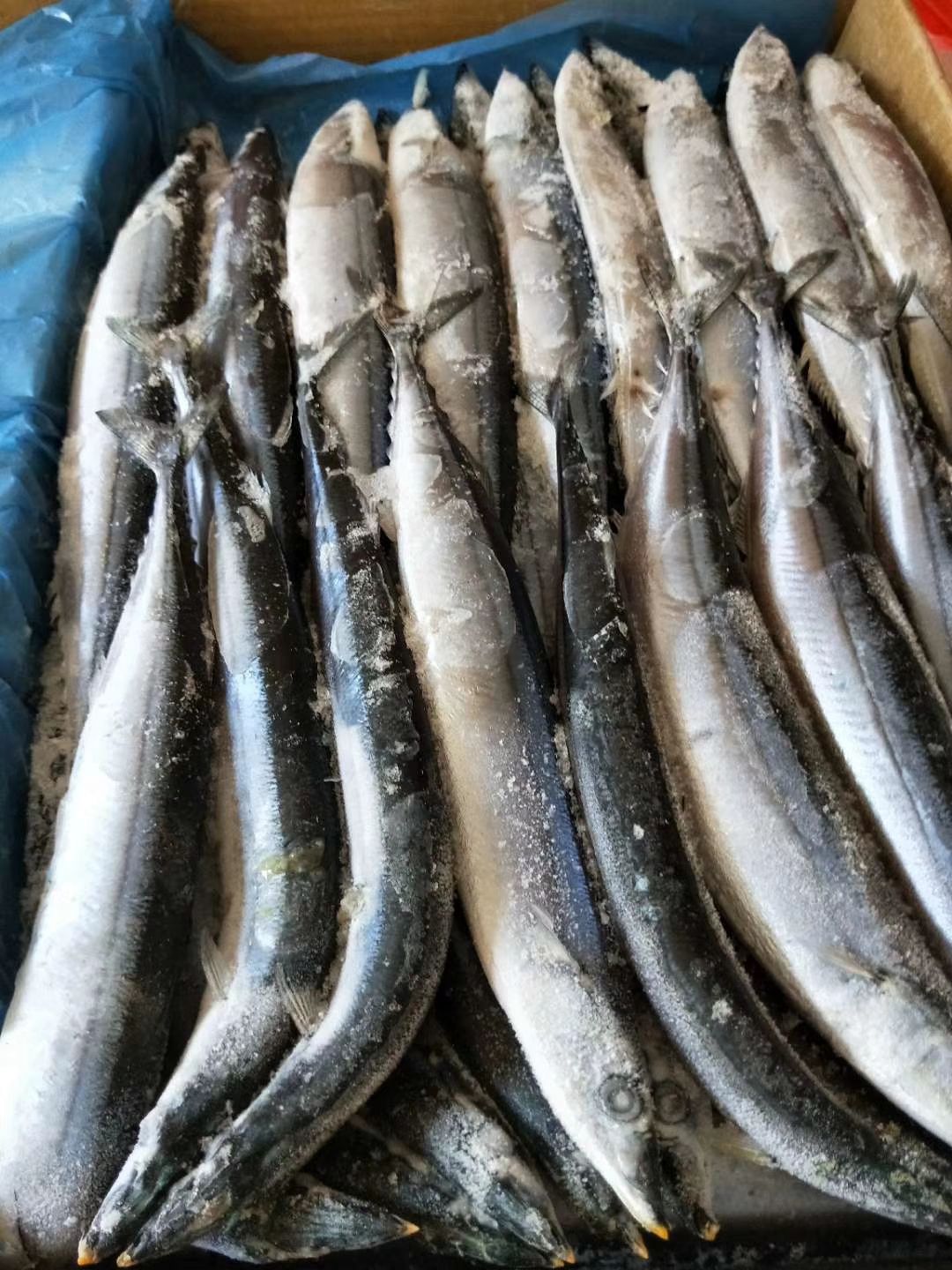 商品属性 品种名:马鲛鱼 用途:食用 饲养方式:人工养殖 食品工艺:冷冻