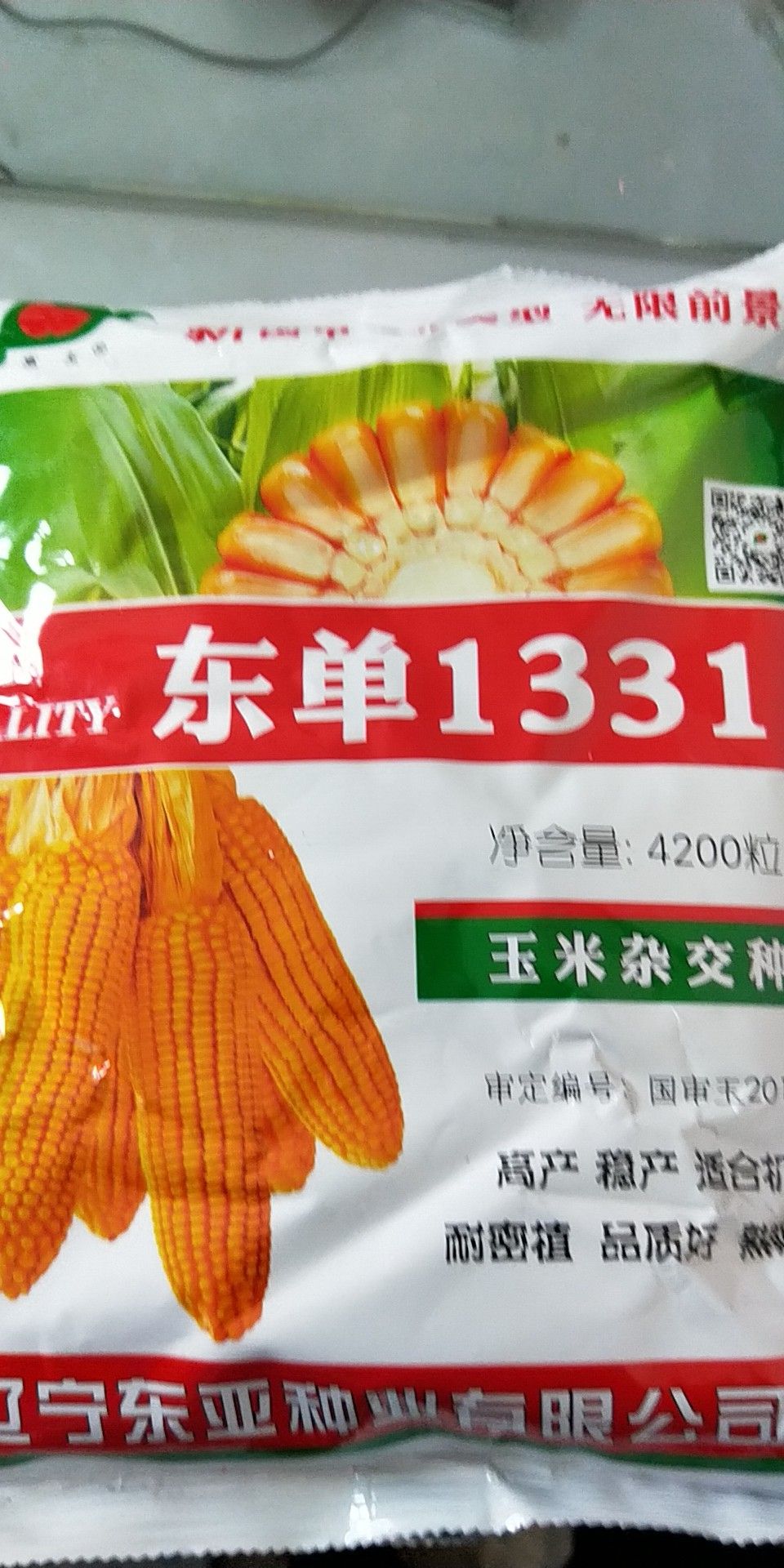 快乐双彩09024:[东单1331玉米种子批发]东单1331玉米