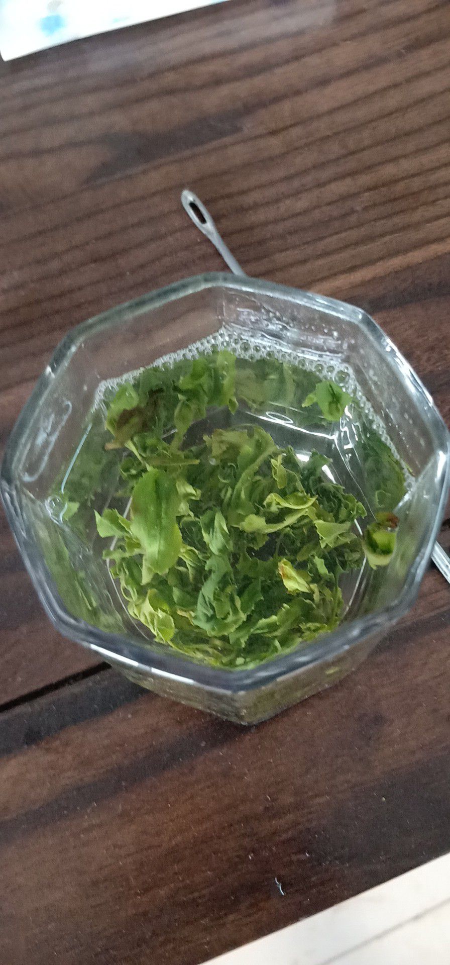 炒青茶 清明茶