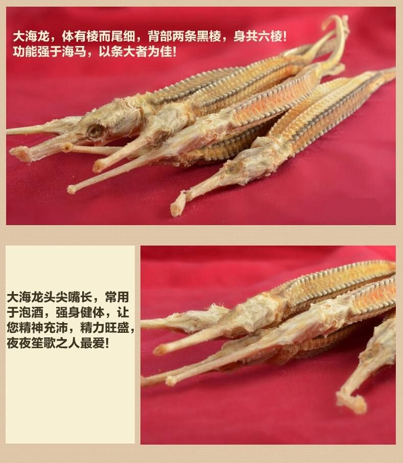 海龙