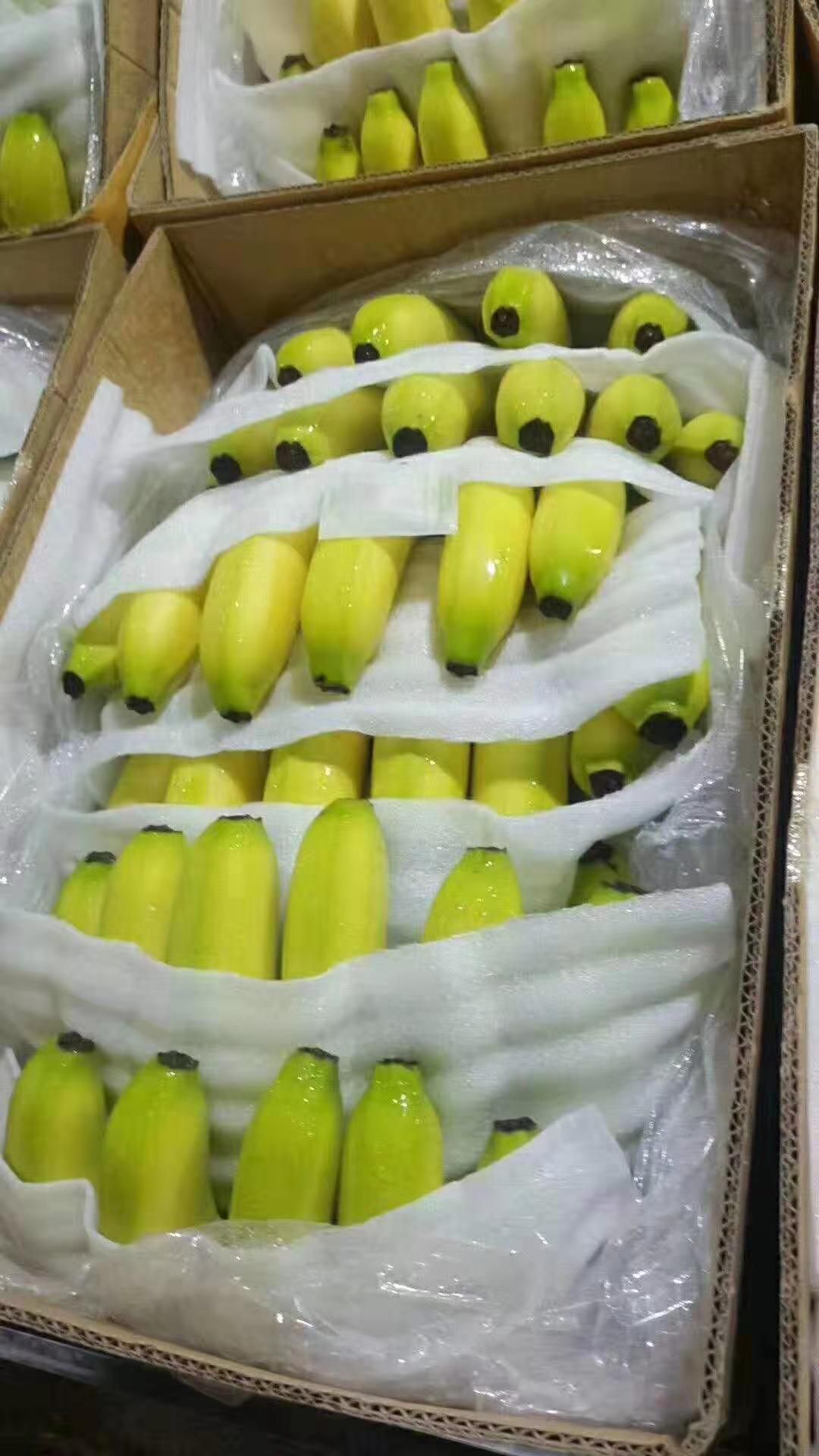 菲律宾进口香蕉a级4/6把