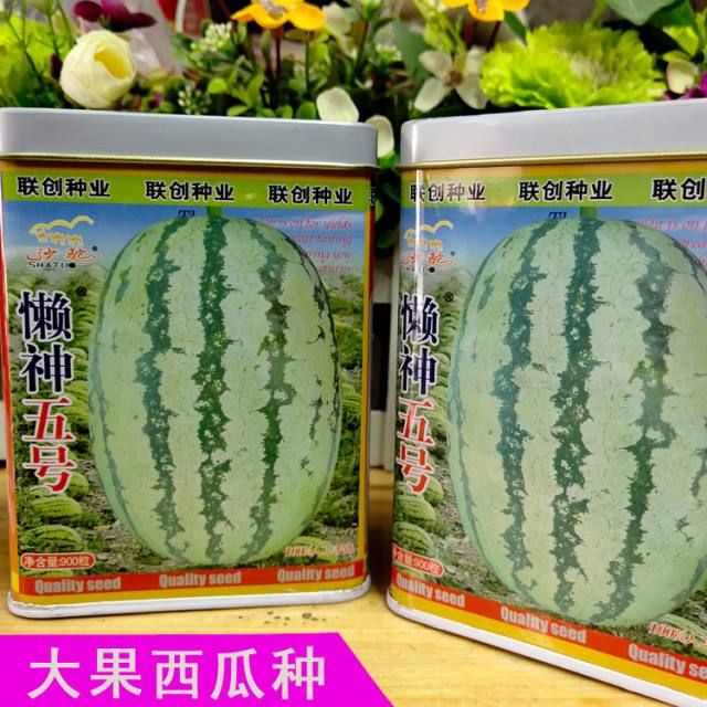 特大西瓜种子懒神五号石头瓜硒砂瓜金城五号类压砂瓜高抗病耐重茬