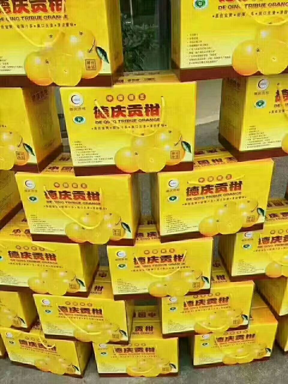 皇帝柑,原产地德庆,清甜.蜜味.化渣