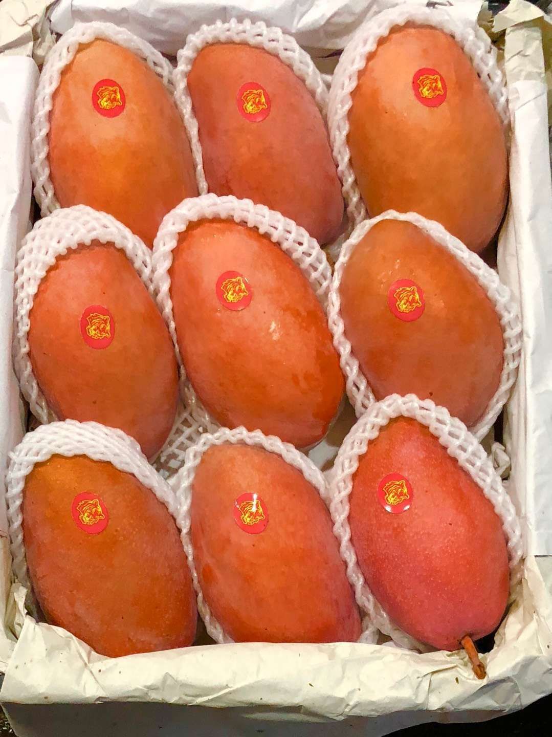 红玉芒 红玉 红玉 有缘千里来相遇