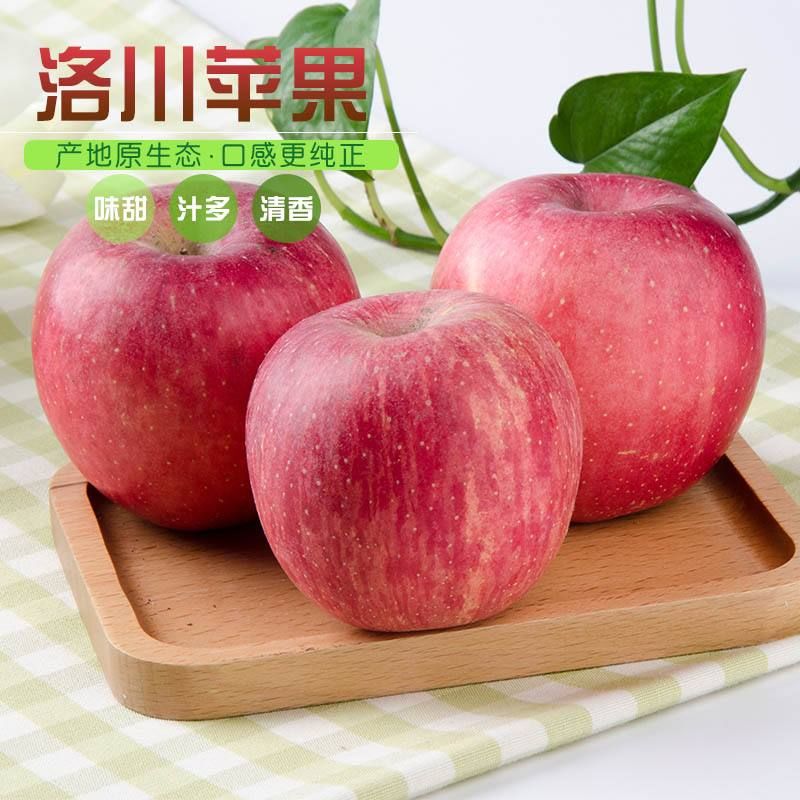 红富士苹果,陕西延安洛川苹果,一件代发(10斤49.8)
