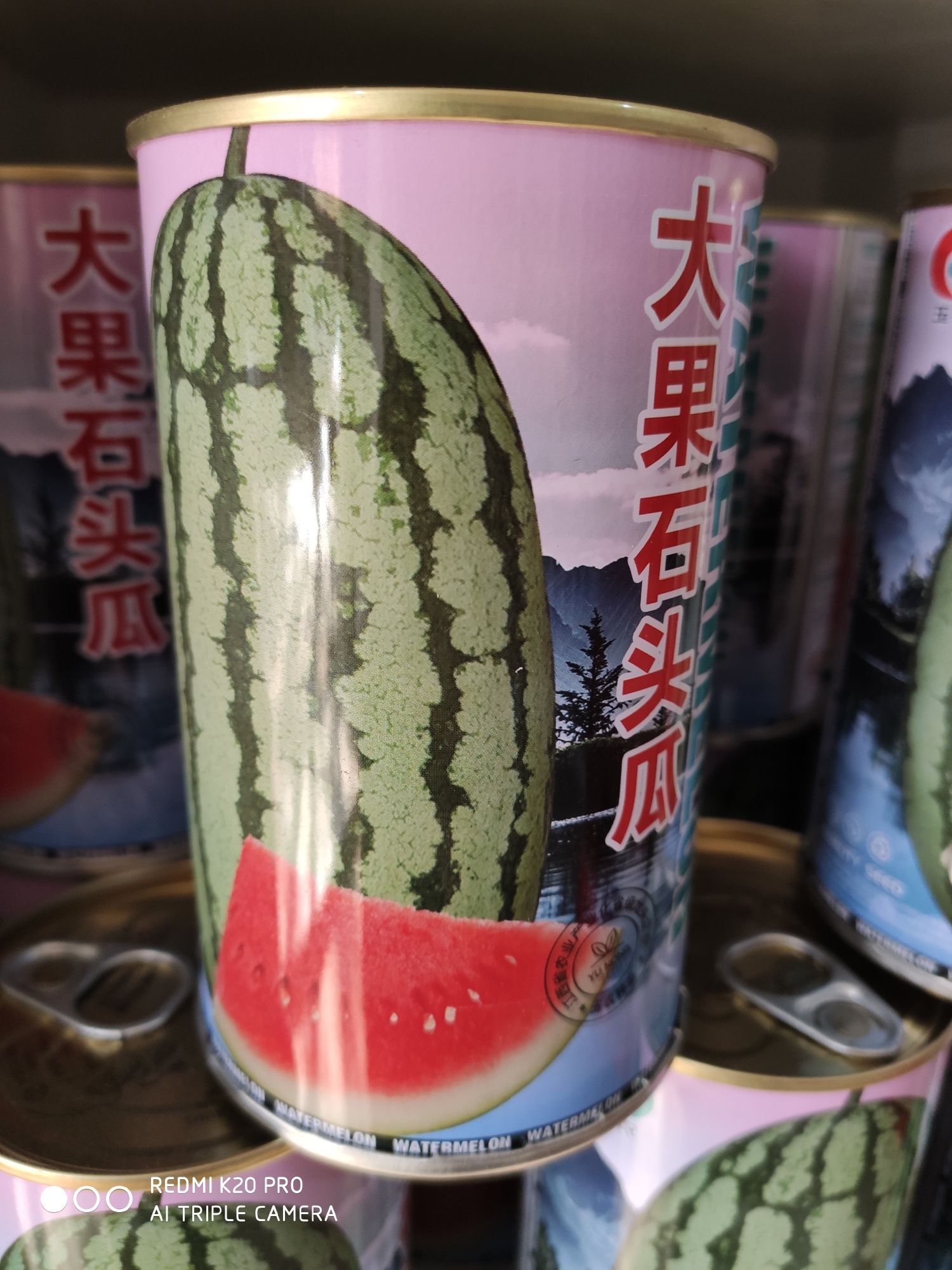 湖北武汉金城五号种子 大果石头瓜