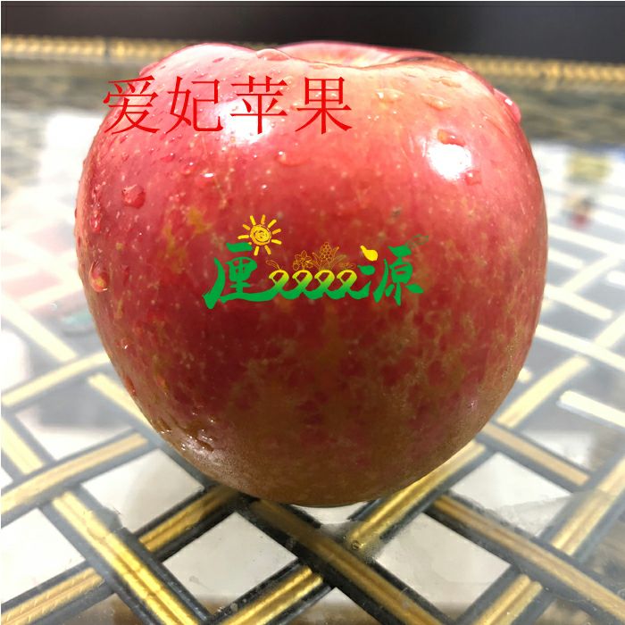 爱妃苹果苗
