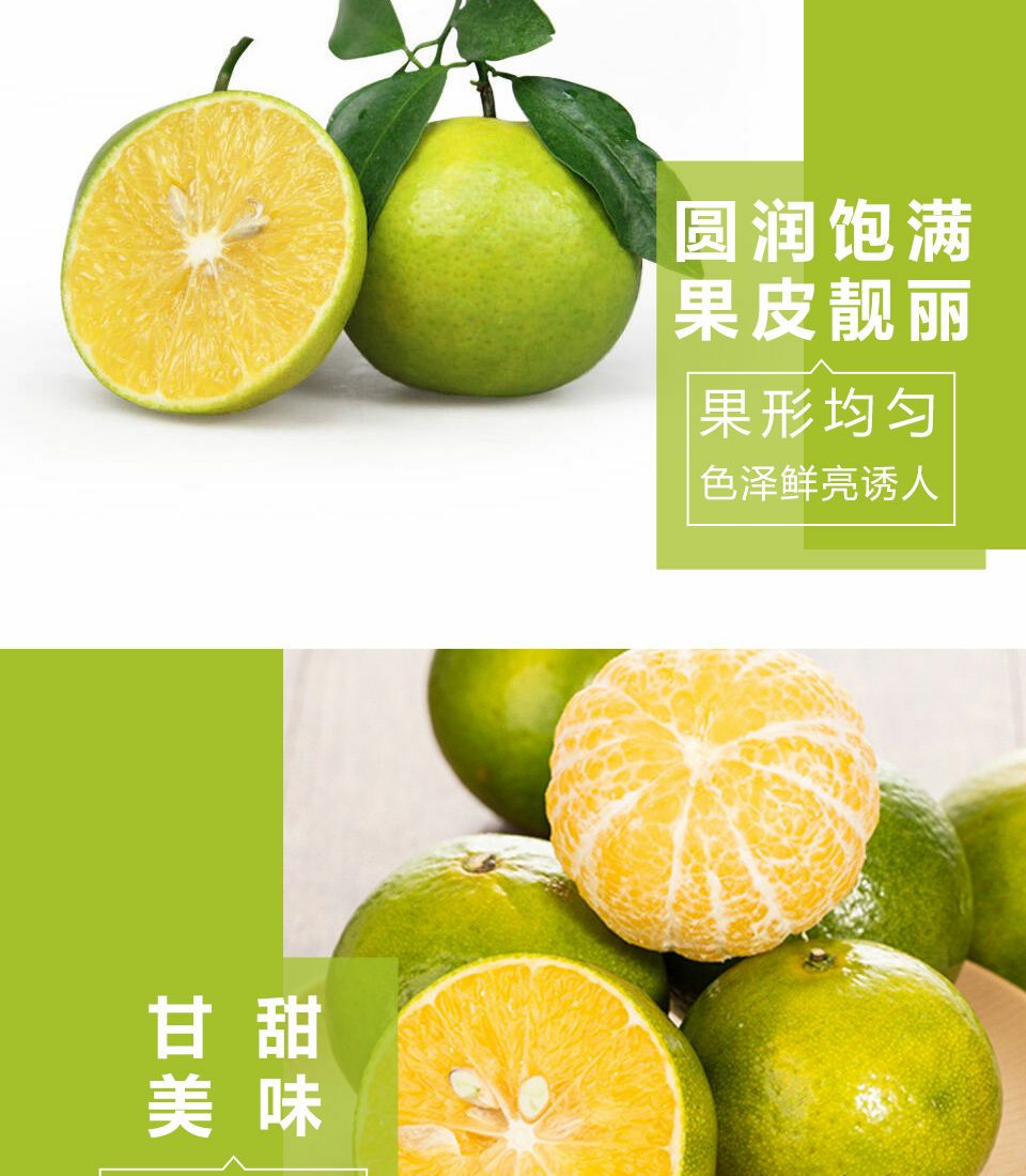 【坏果包赔】广西皇帝柑孕妇时令桔子沃柑橘子橙子新鲜水果包邮