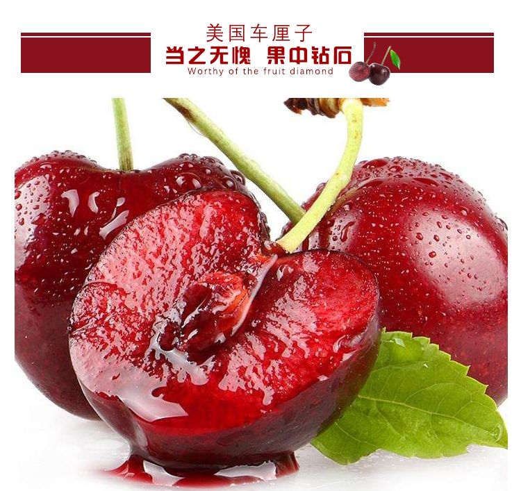 山东临沂平邑县美国一号樱桃苗 美国车厘子,进口品种,明年结果苗,基地