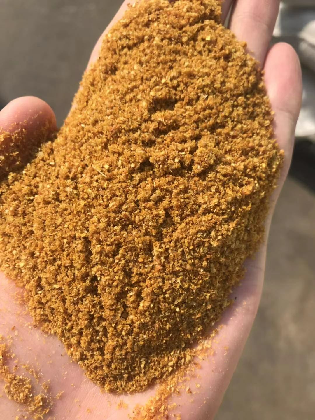 玉米酒糟(ddgs)