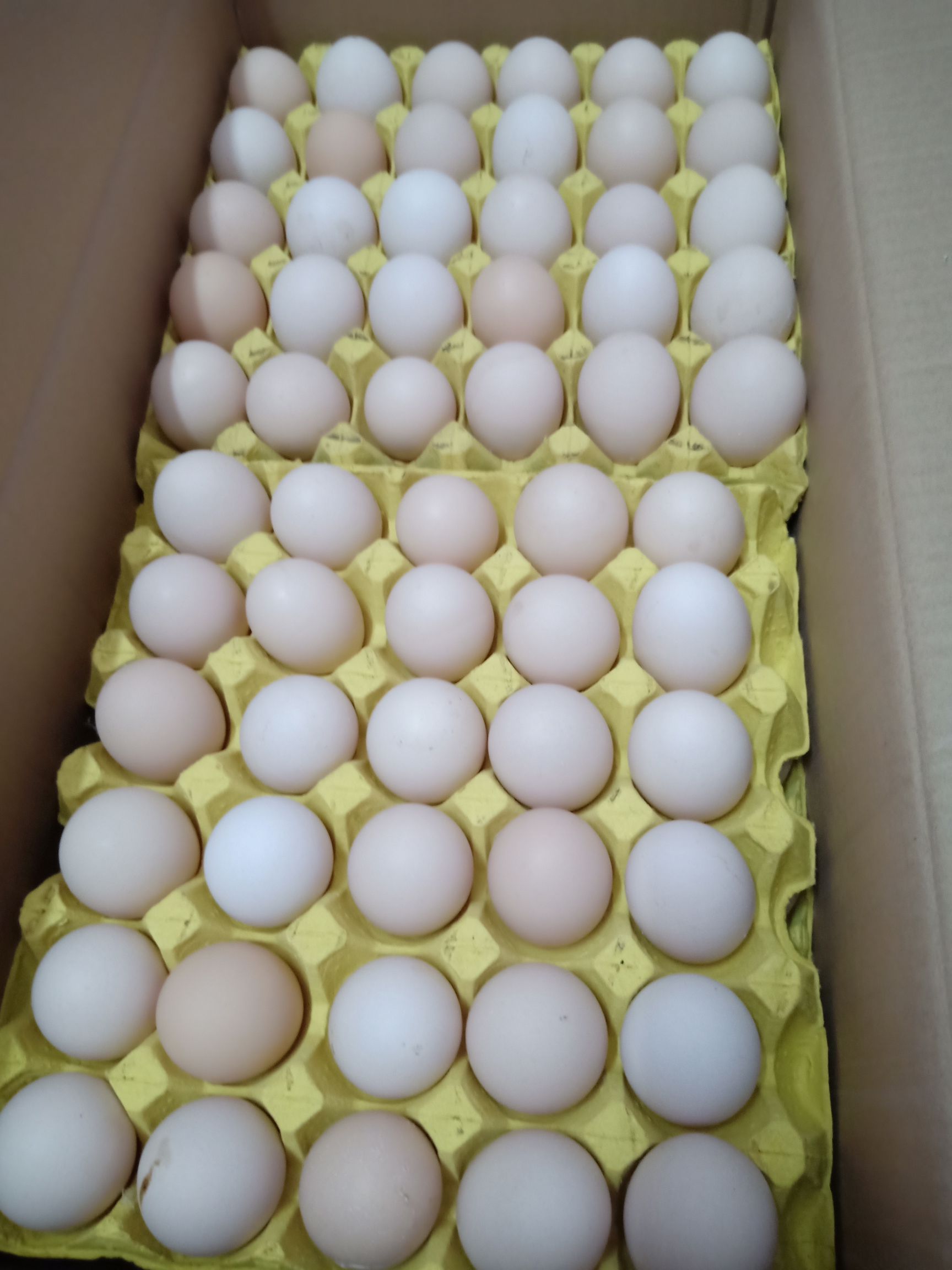品种名:粉蛋 用途:食用 货品包装:箱装 蛋托类型:纸托 颜色