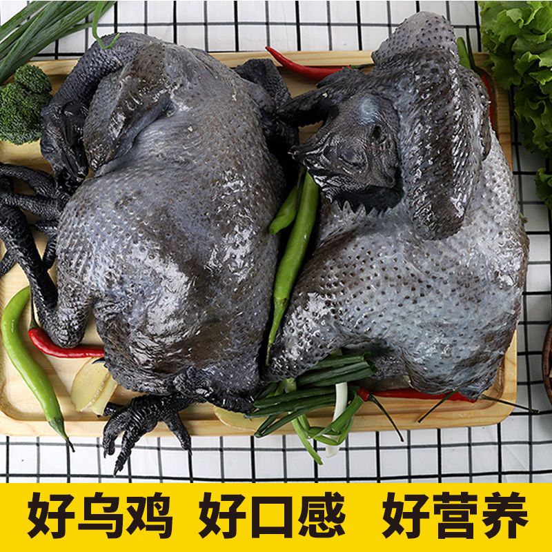散养乌鸡正宗农家土鸡老母鸡新鲜乌鸡肉整只乌骨鸡炖汤现杀跑地鸡