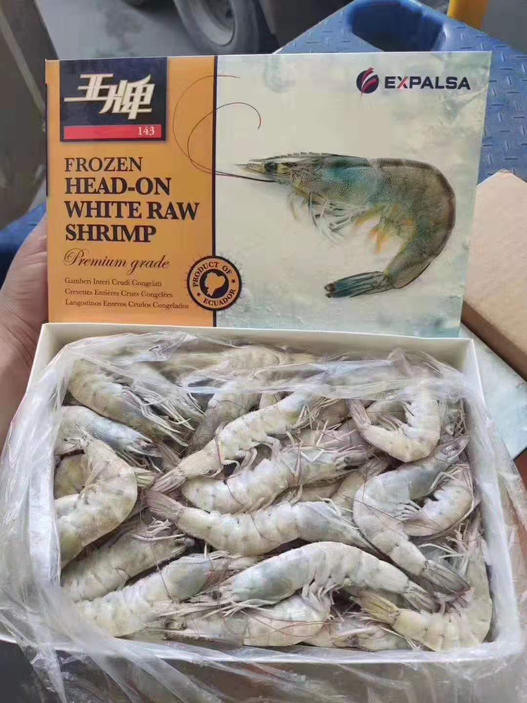 厄瓜多尔白虾 野生