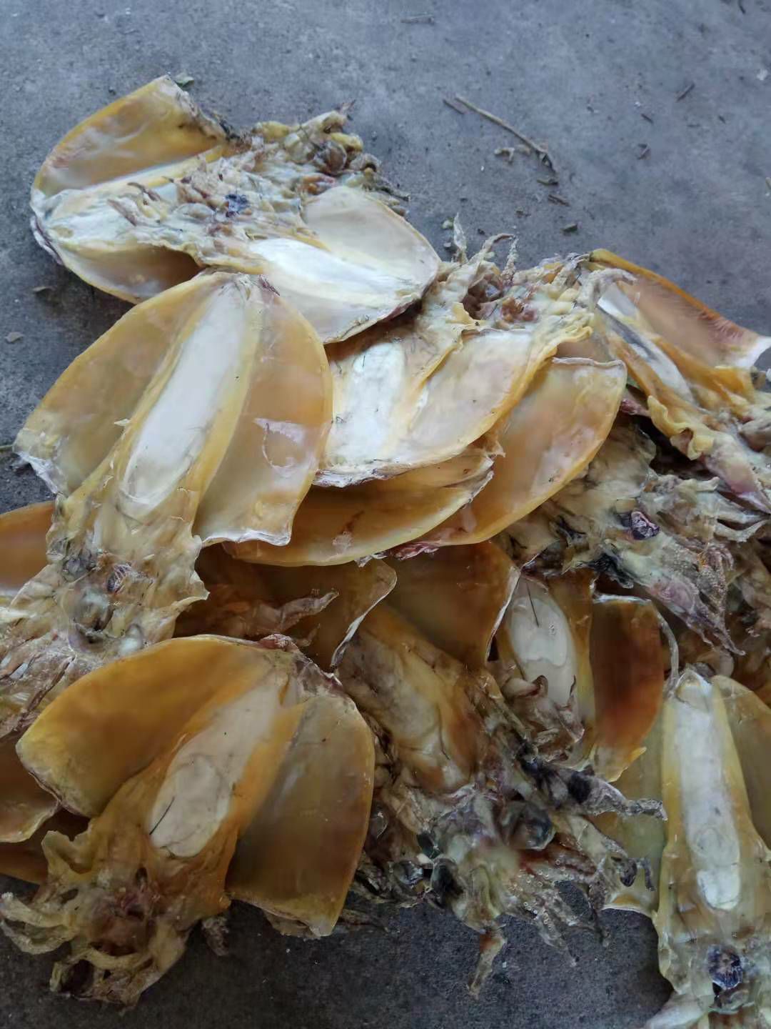 墨鱼干 鱿鱼干 北海墨鱼干 一斤2-3个