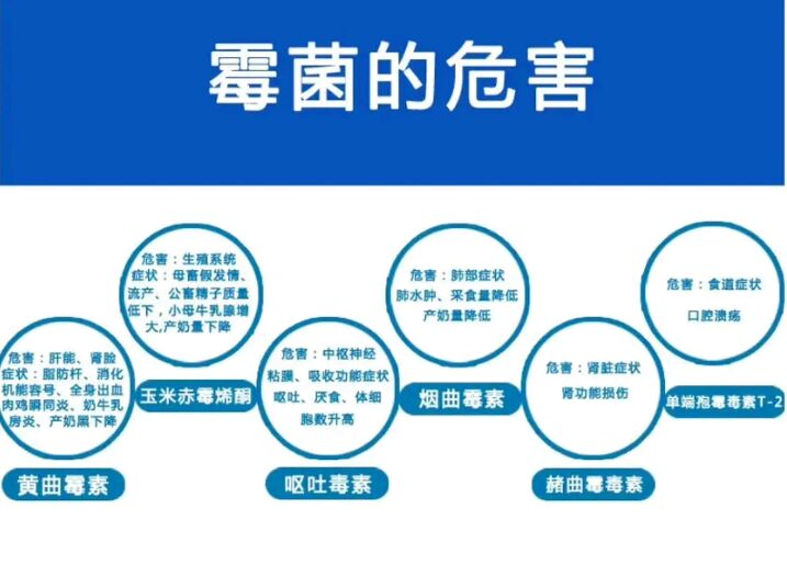 分解霉菌毒素又保肝就用饮水型脱霉剂百霉清