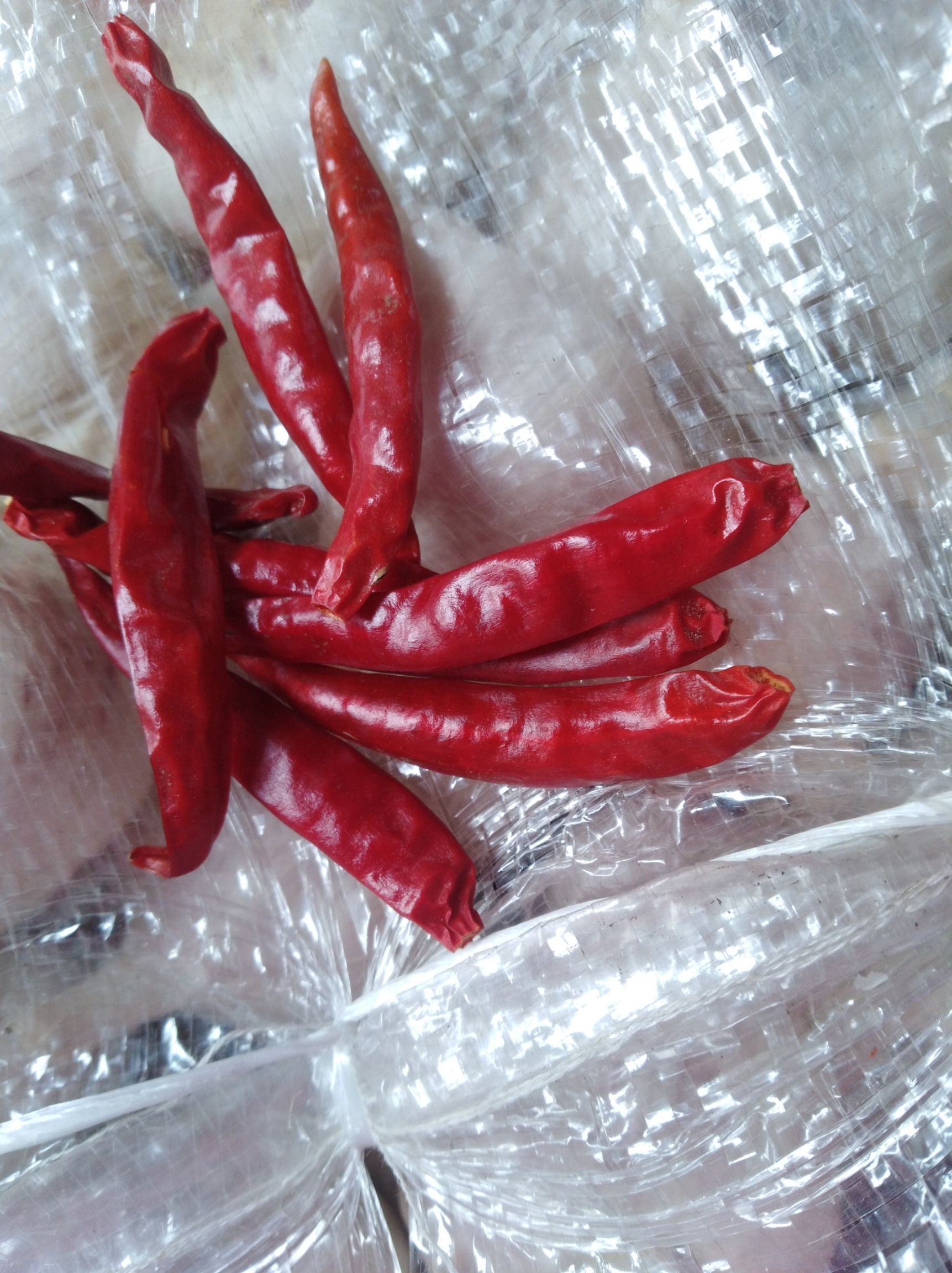 红太阳干辣椒 红太阳,辛辣刺激挑战味觉,火热上市了.