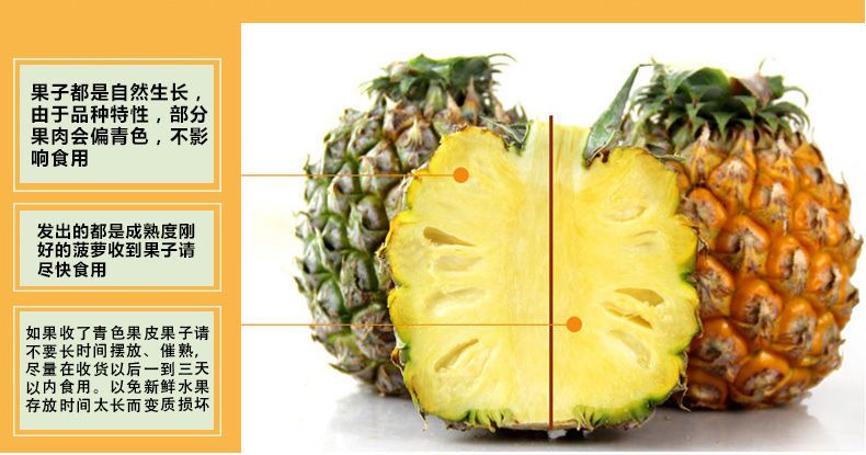 泰国品种迷你小菠萝香水菠萝香脆甜菠萝小凤梨普吉岛水果菠萝除味