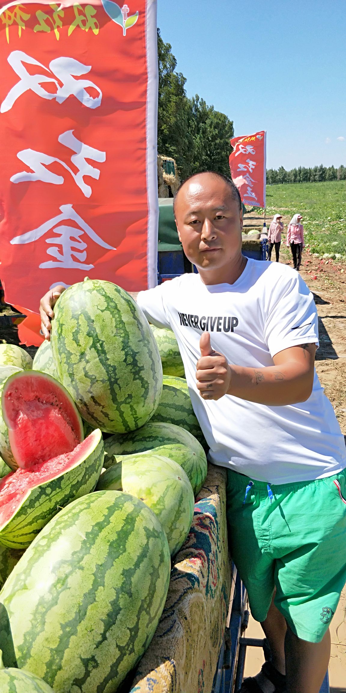 永江双红金五西瓜种子正宗双红瓤高品质