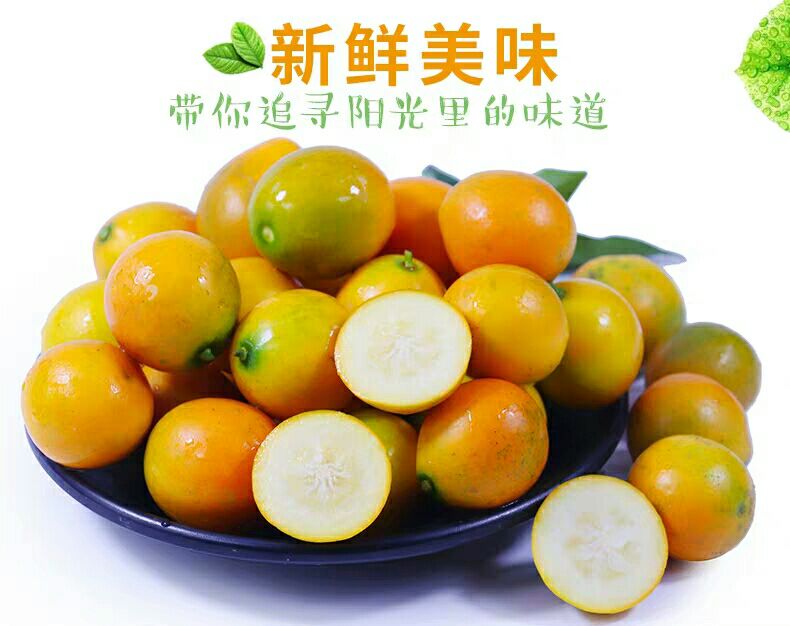 广西荣安小金桔5斤新鲜水果当季滑皮蜜橘蜜桔迷你小橘子包邮